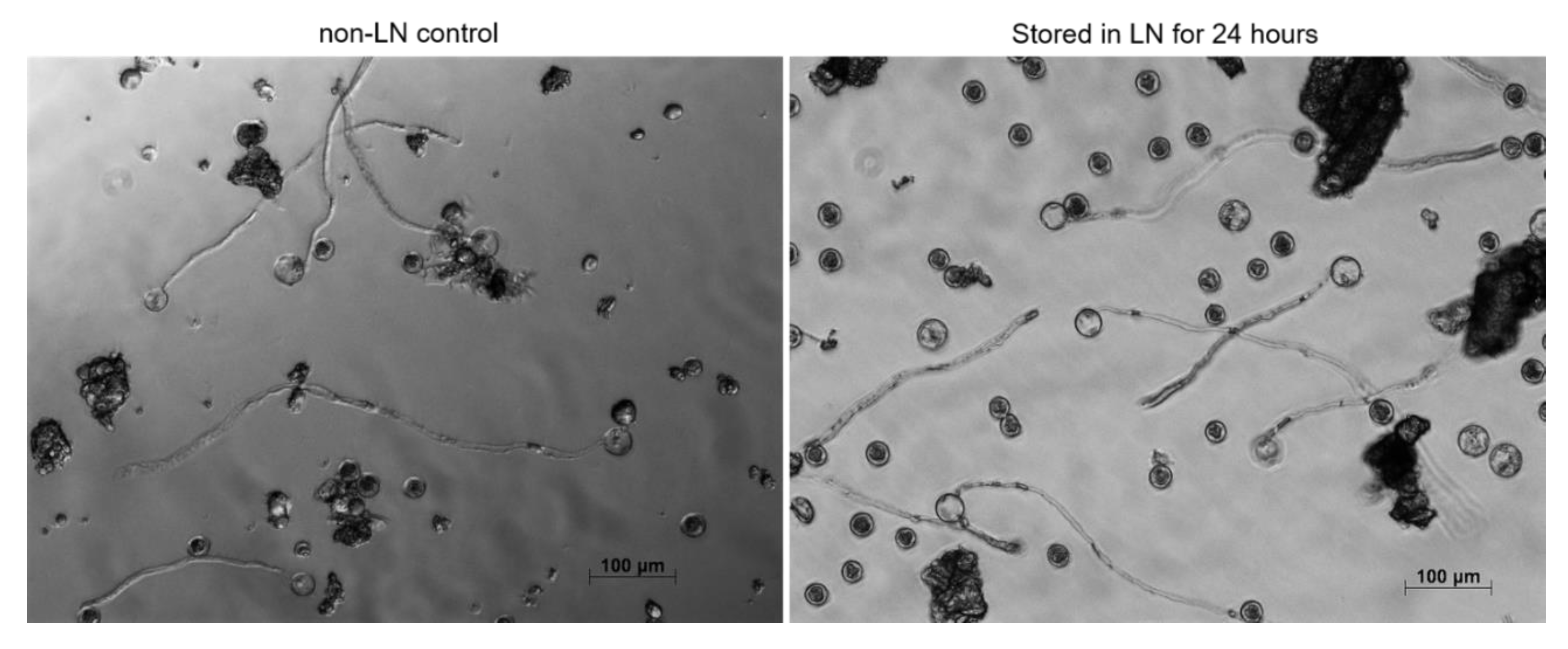 Plants 09 00665 g005 Plants 09 00665 g005