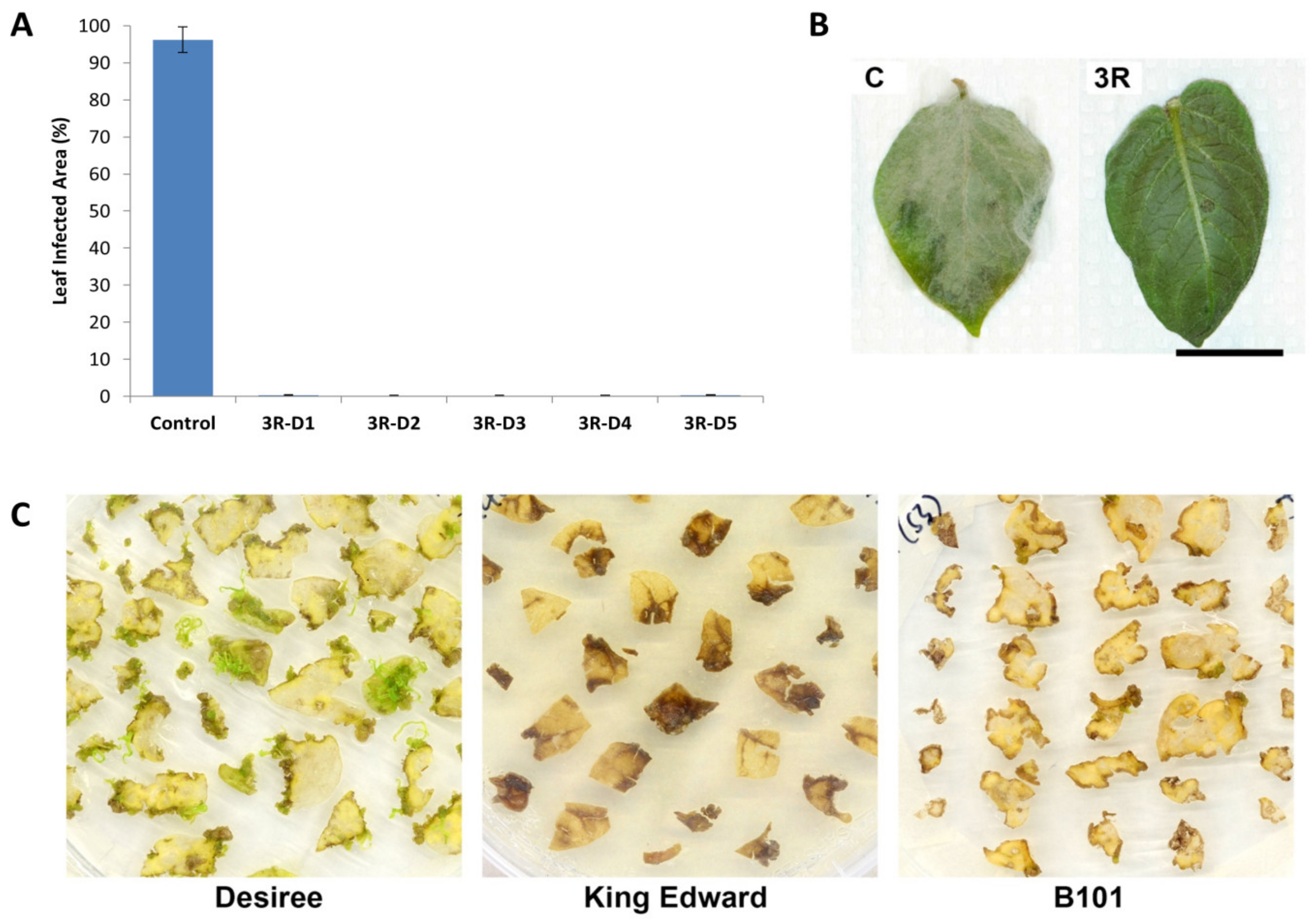 Plants 09 00695 g001