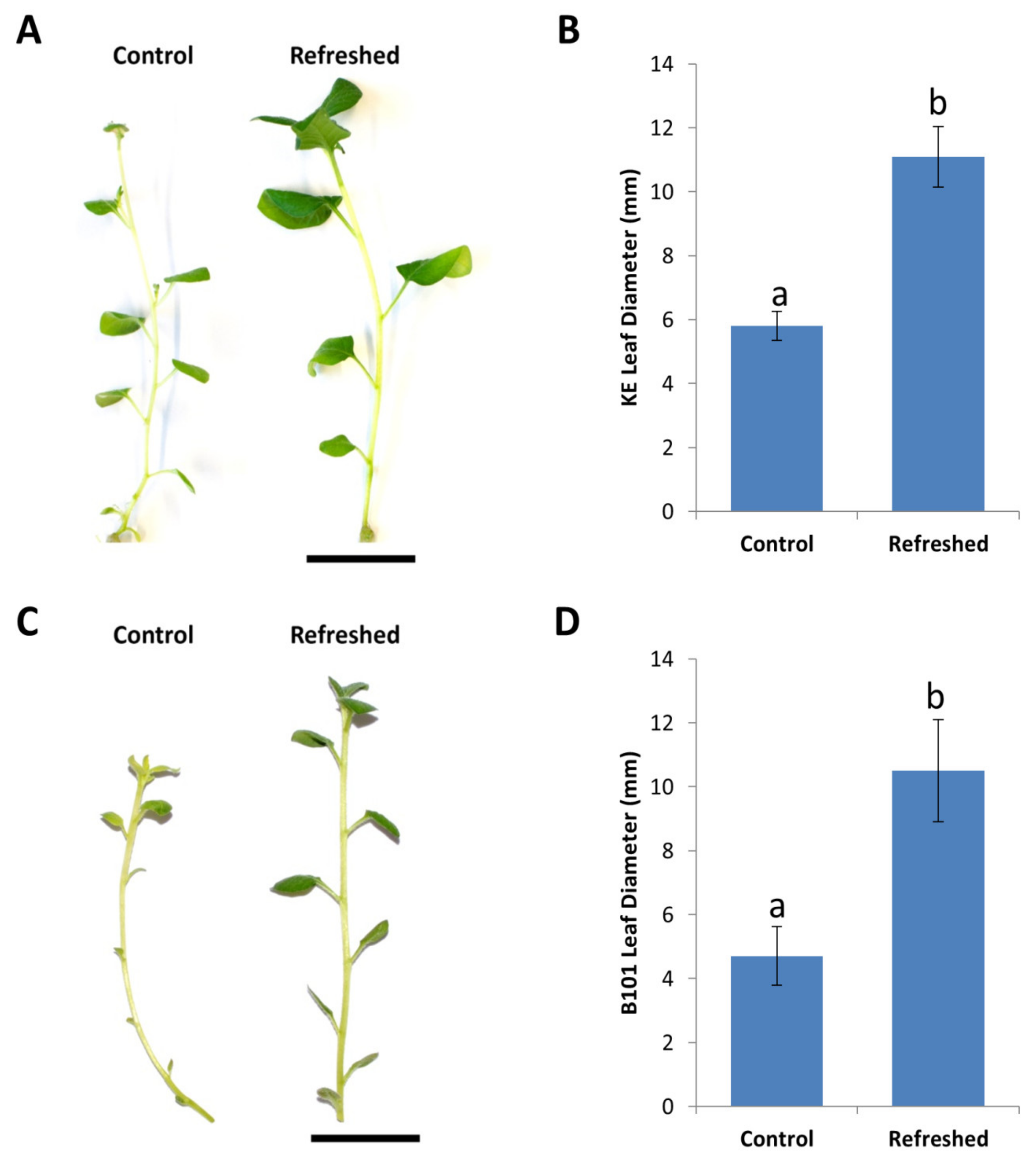 Plants 09 00695 g004