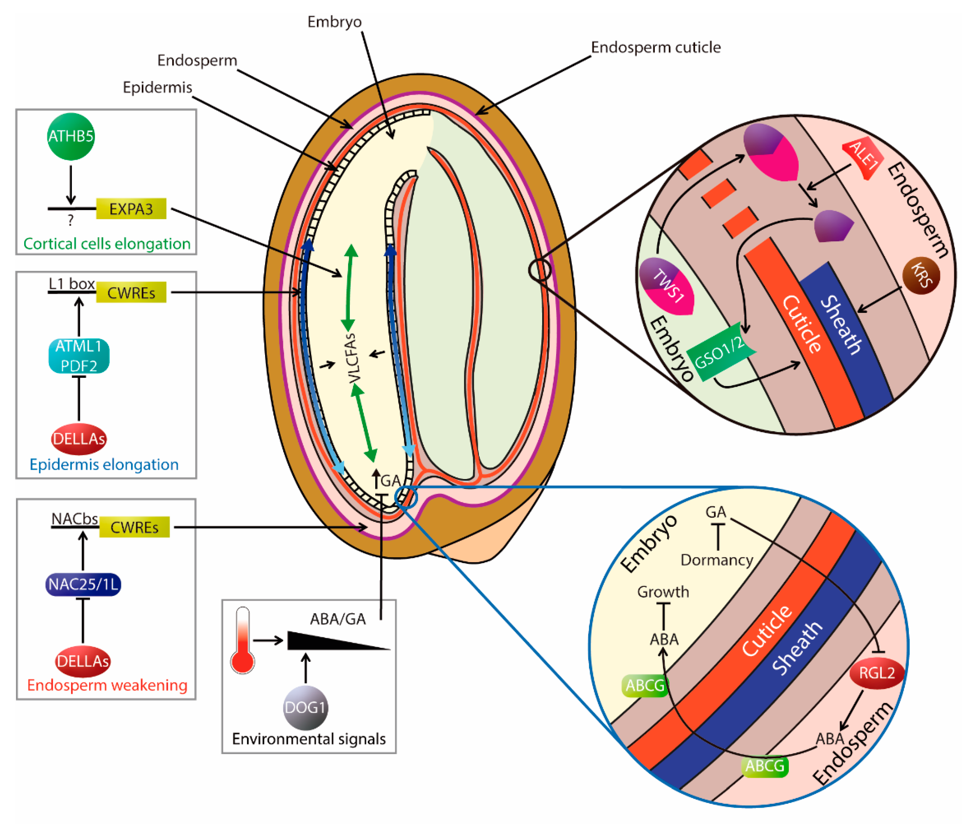 Plants 09 00703 g002