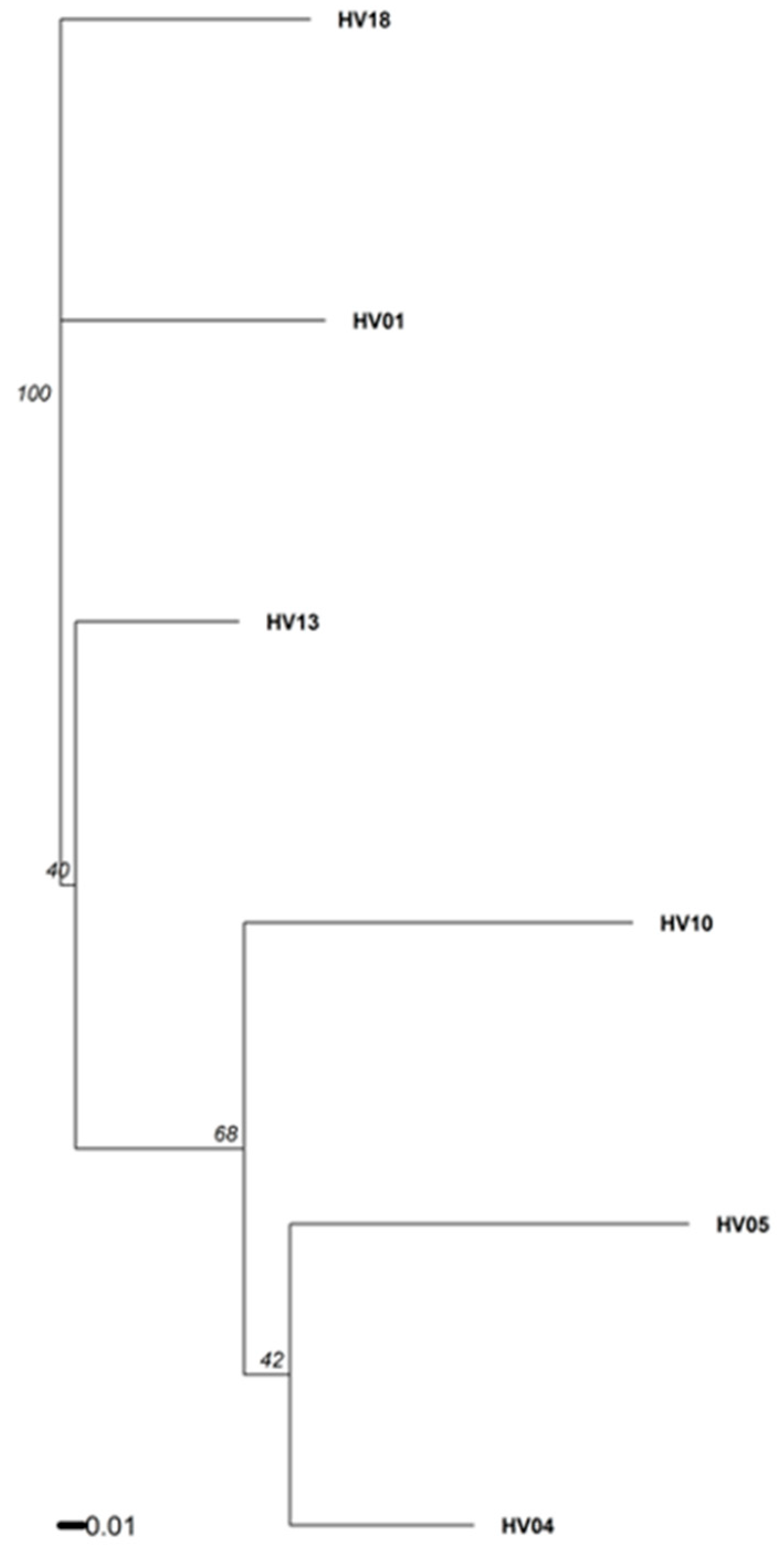 Plants 09 00712 g004