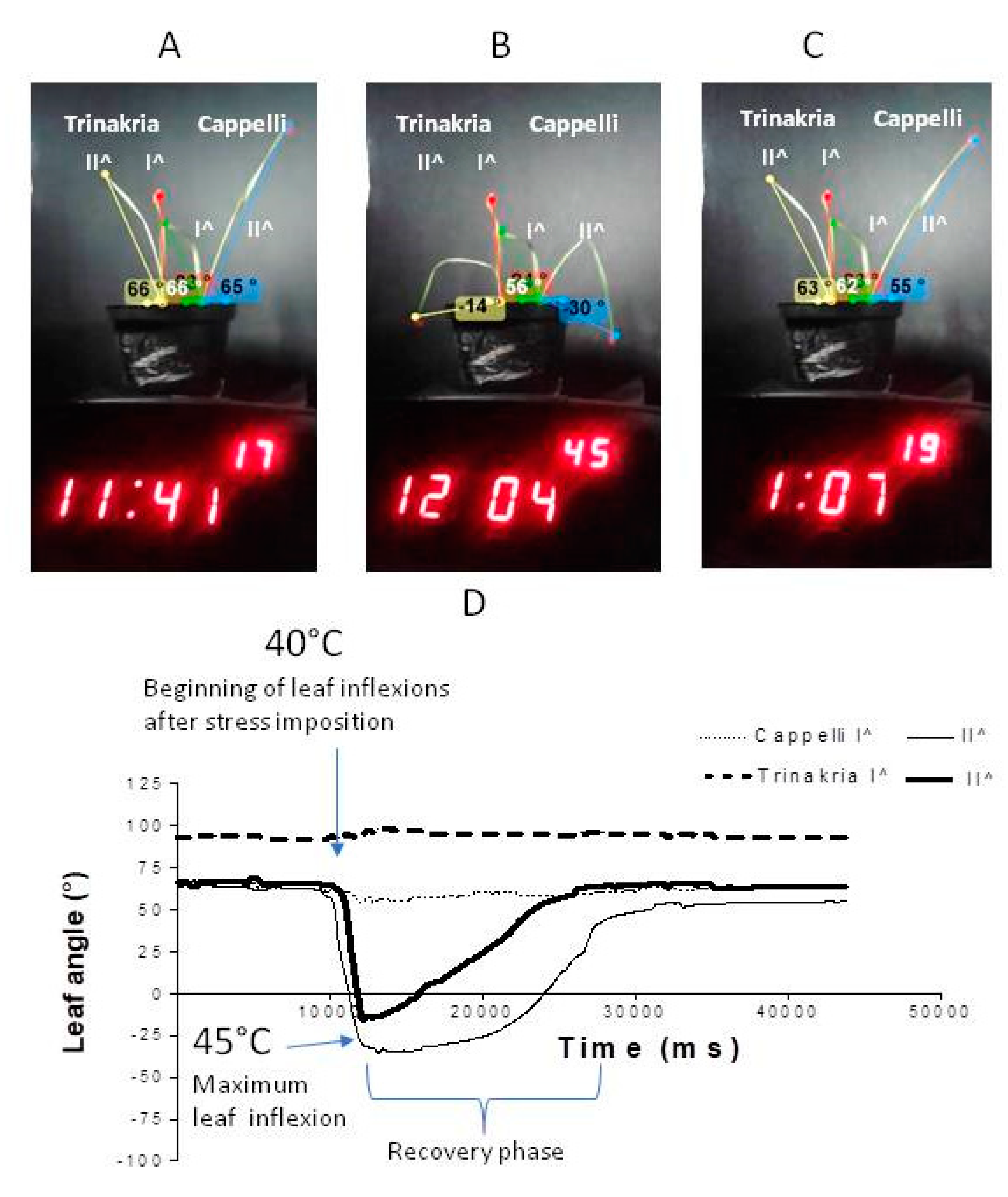 Plants 09 00718 g003