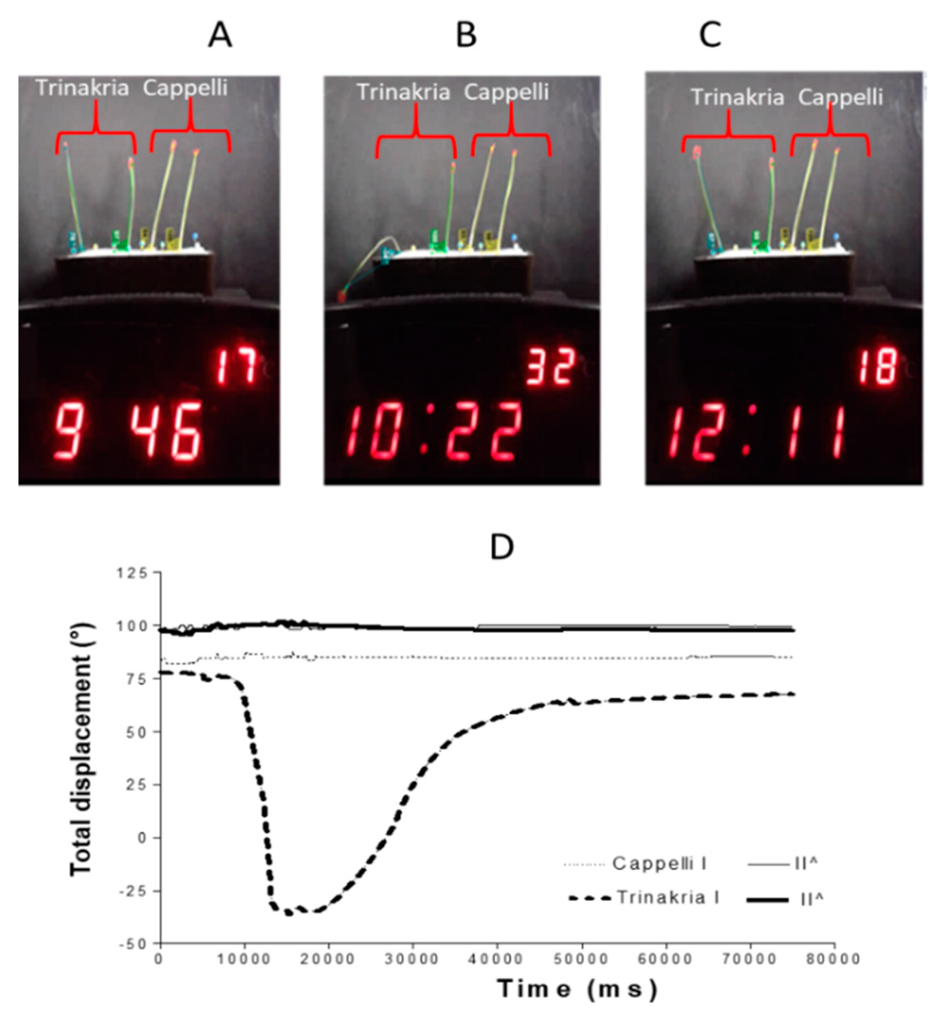 Plants 09 00718 g005