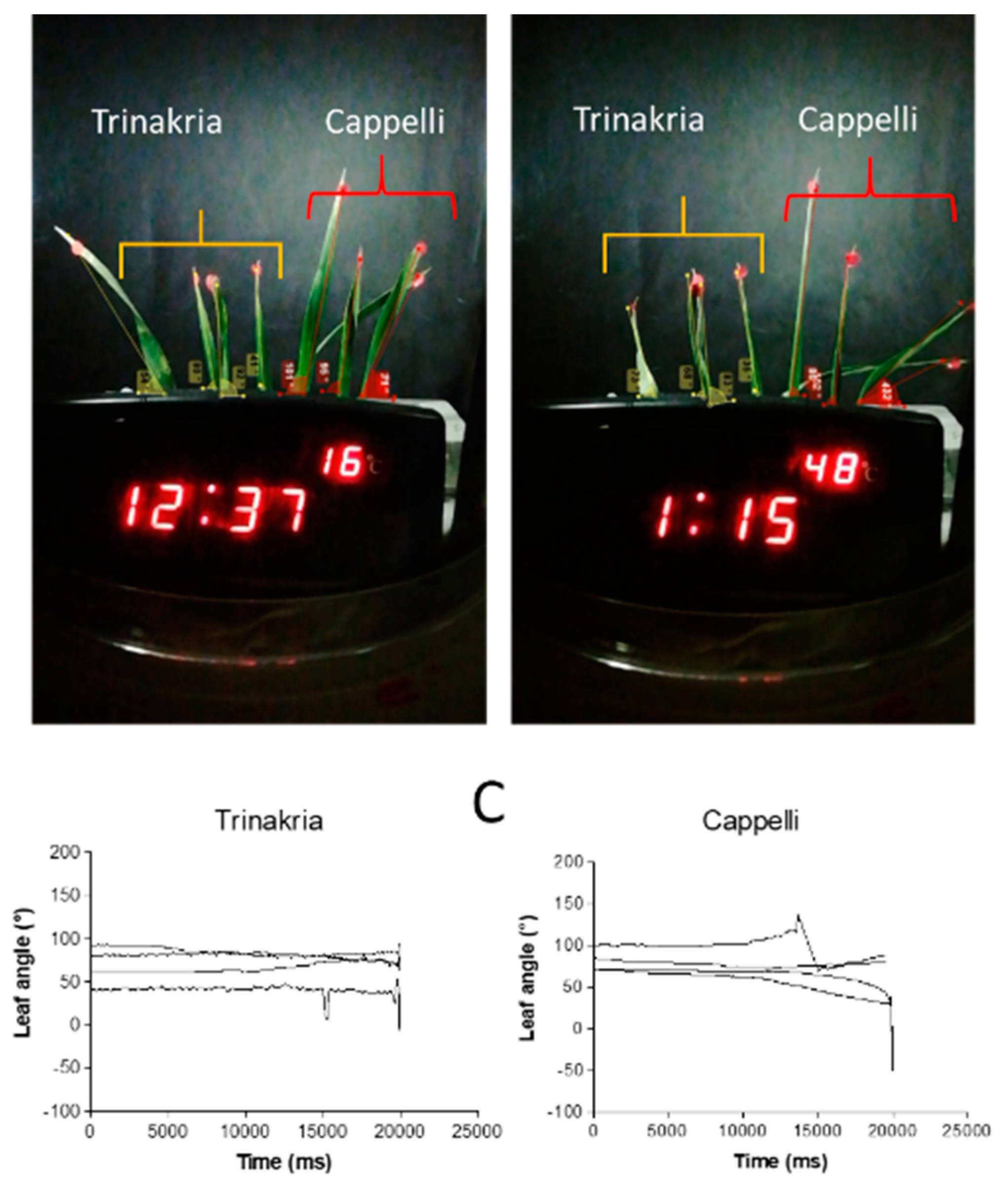 Plants 09 00718 g007