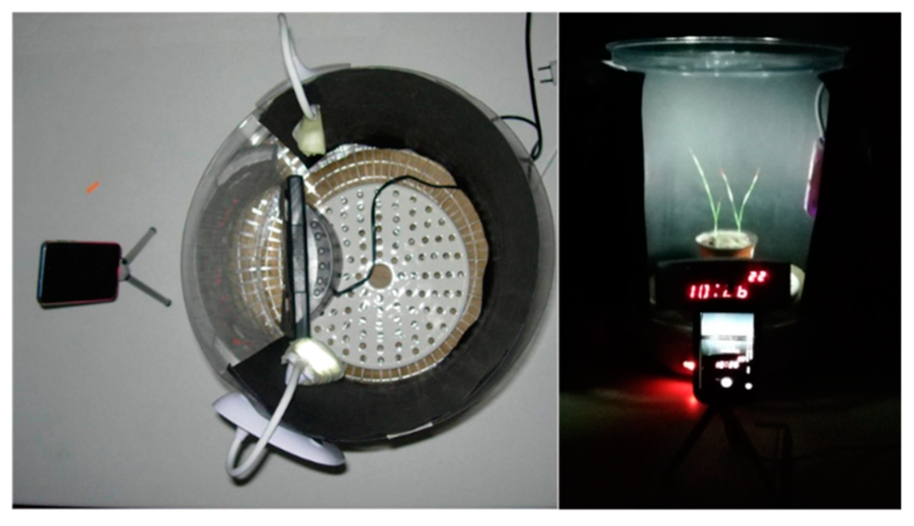 Plants 09 00718 g009