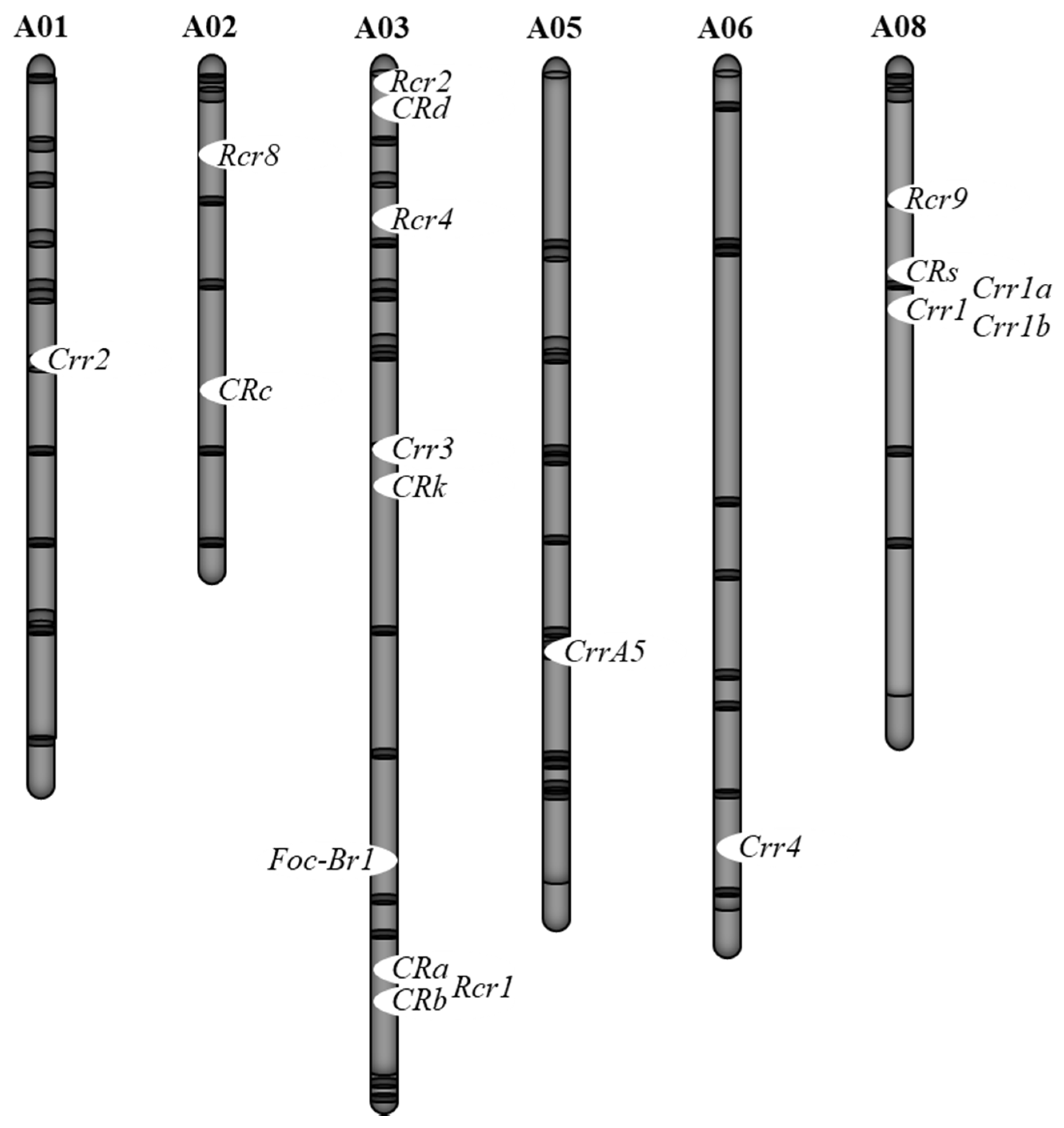 Plants 09 00726 g002 Plants 09 00726 g002