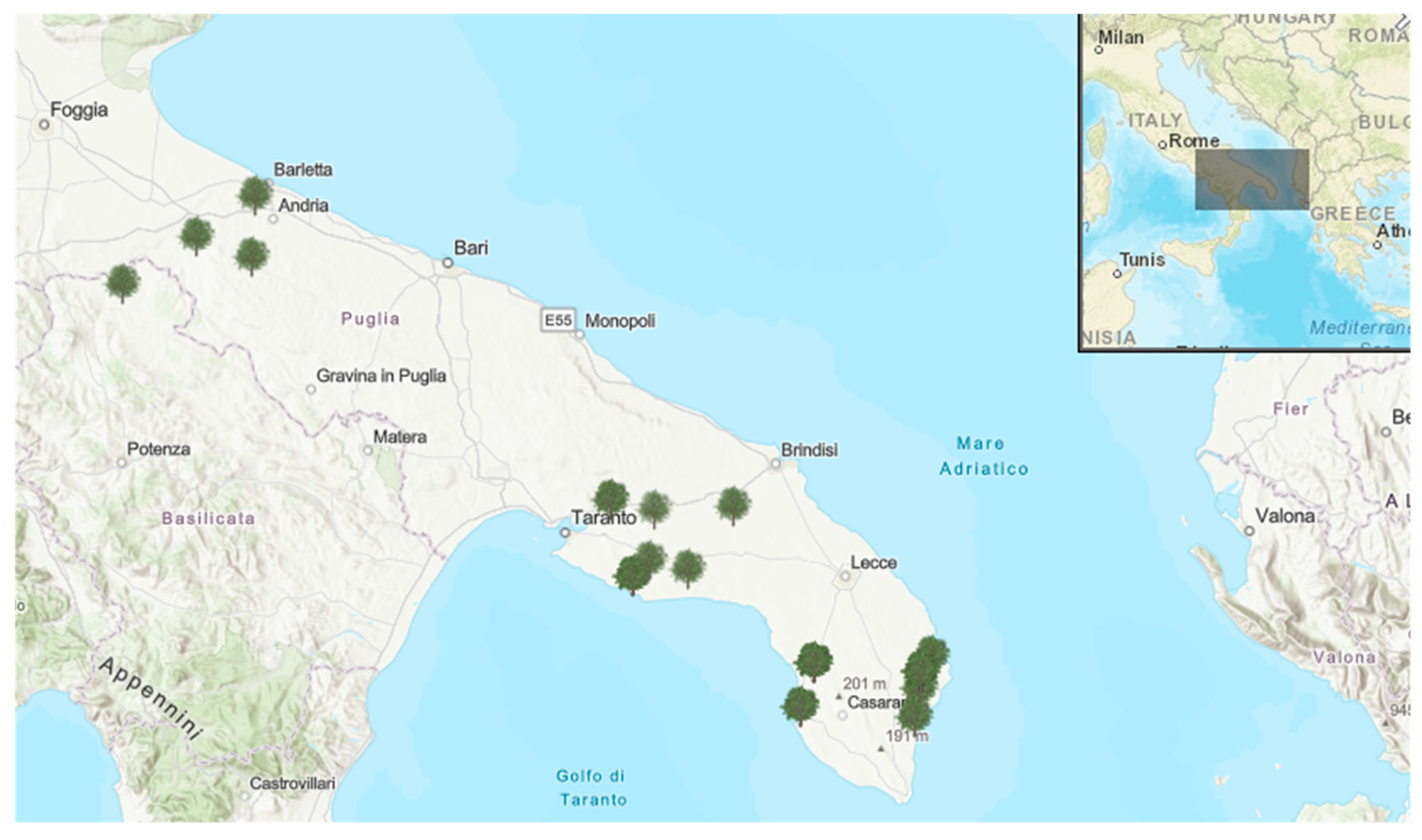 Plants 09 00760 g007