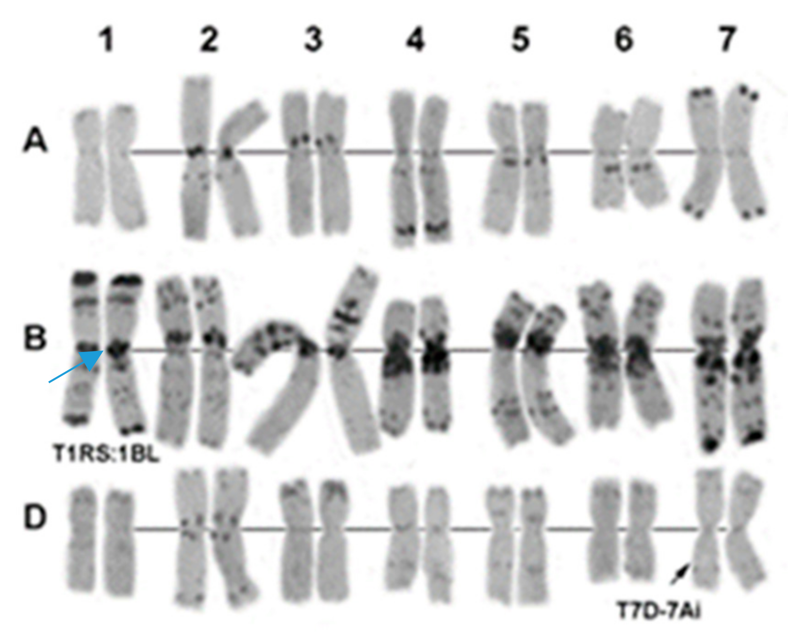 Plants 09 00764 g005
