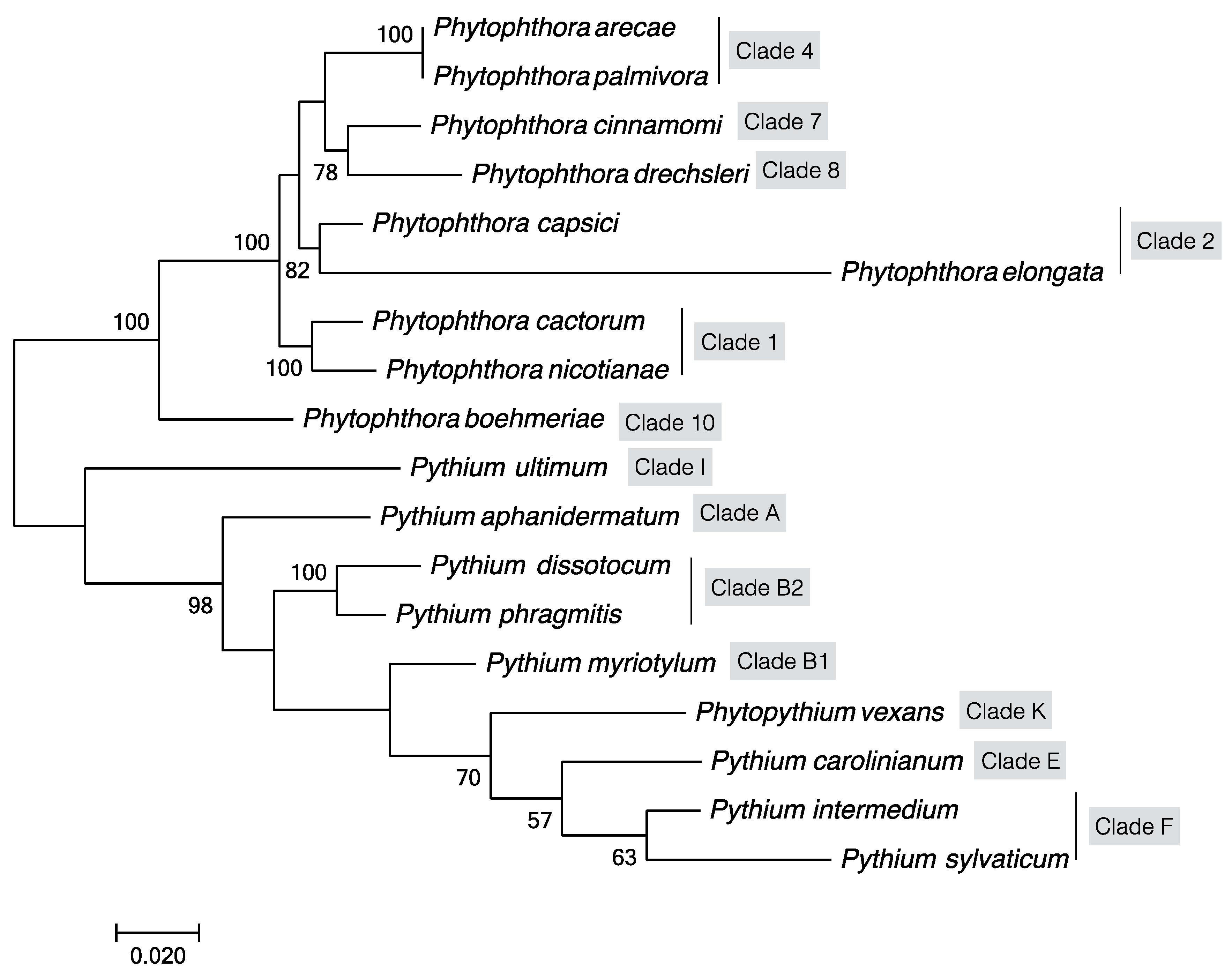 Plants 09 00769 g002 Plants 09 00769 g002