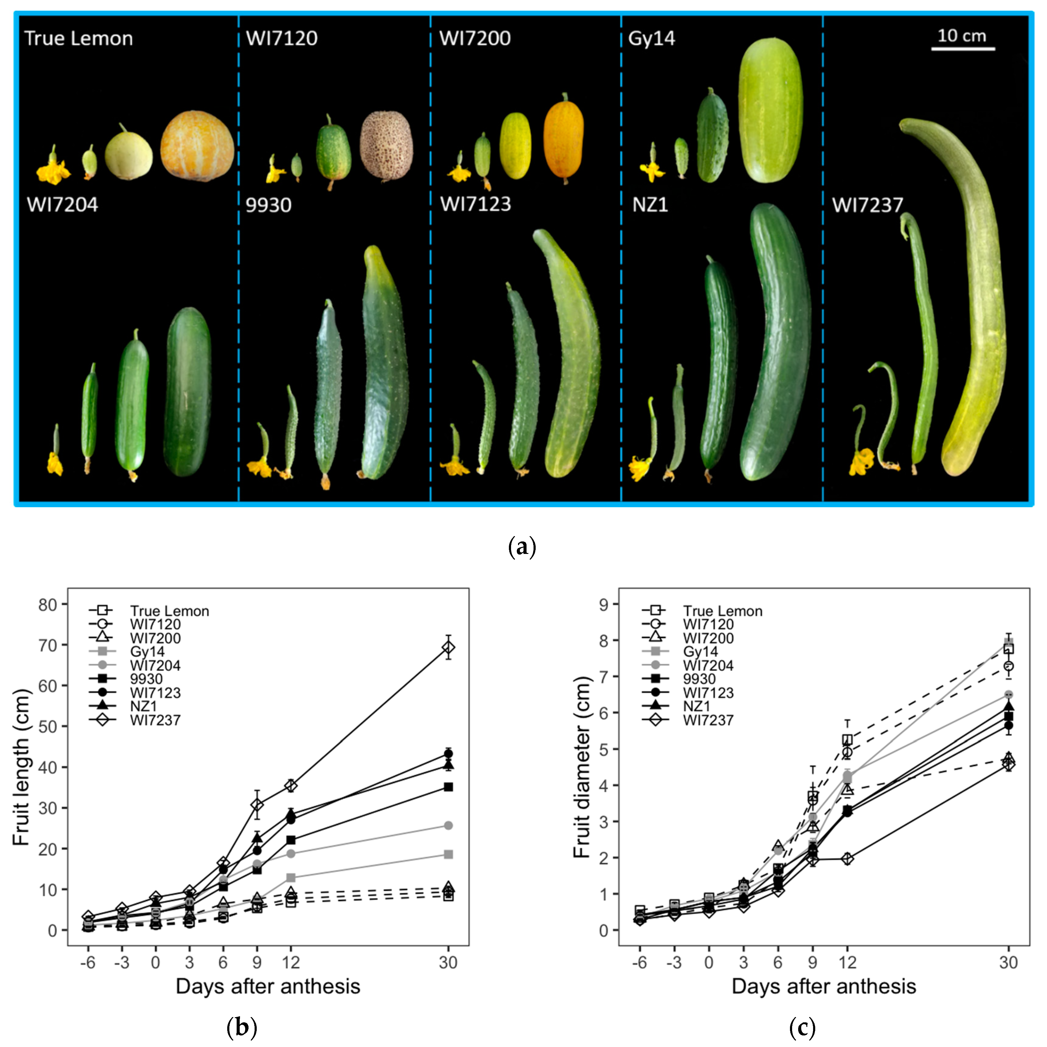Plants 09 00772 g001a