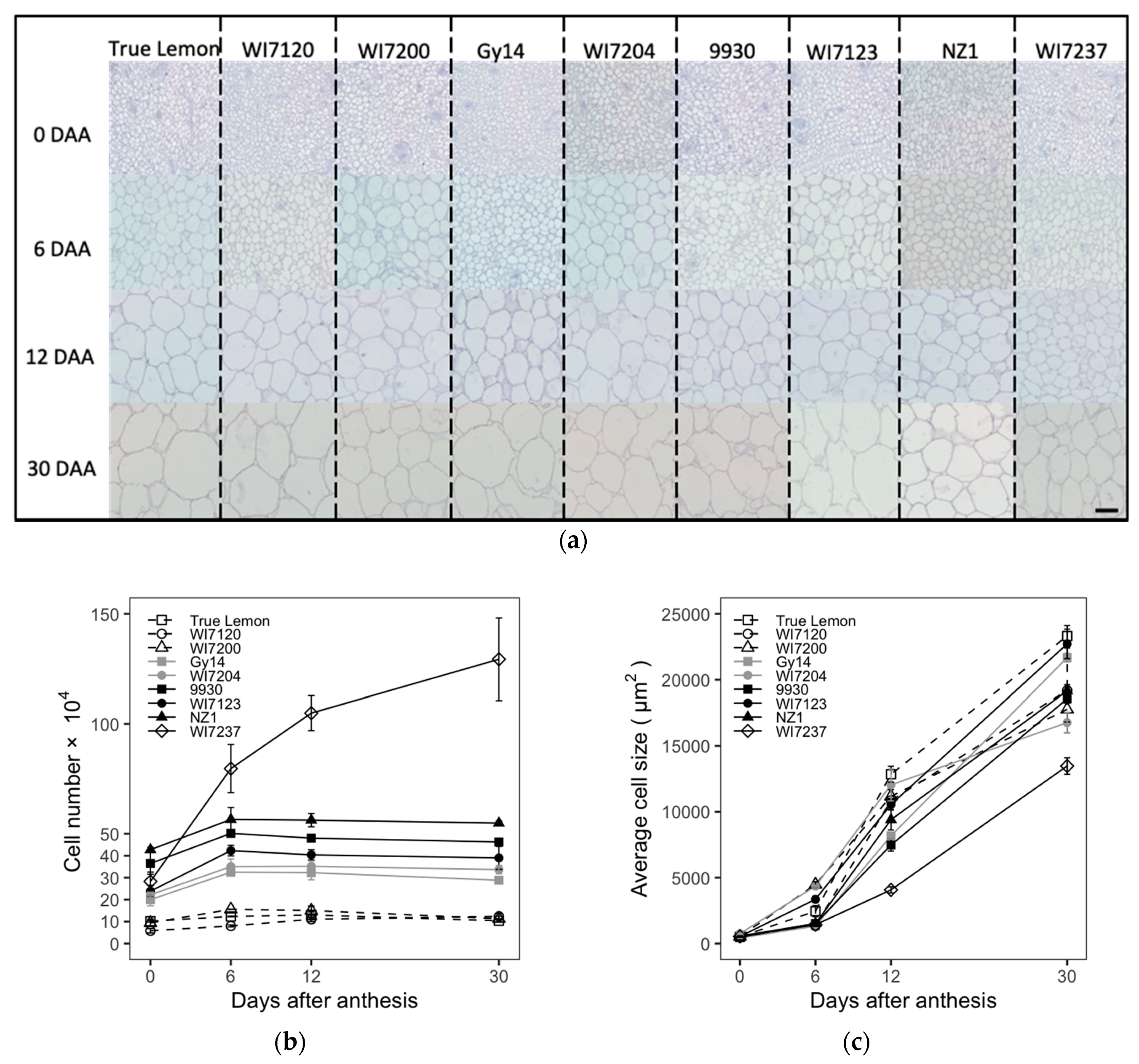 Plants 09 00772 g002a