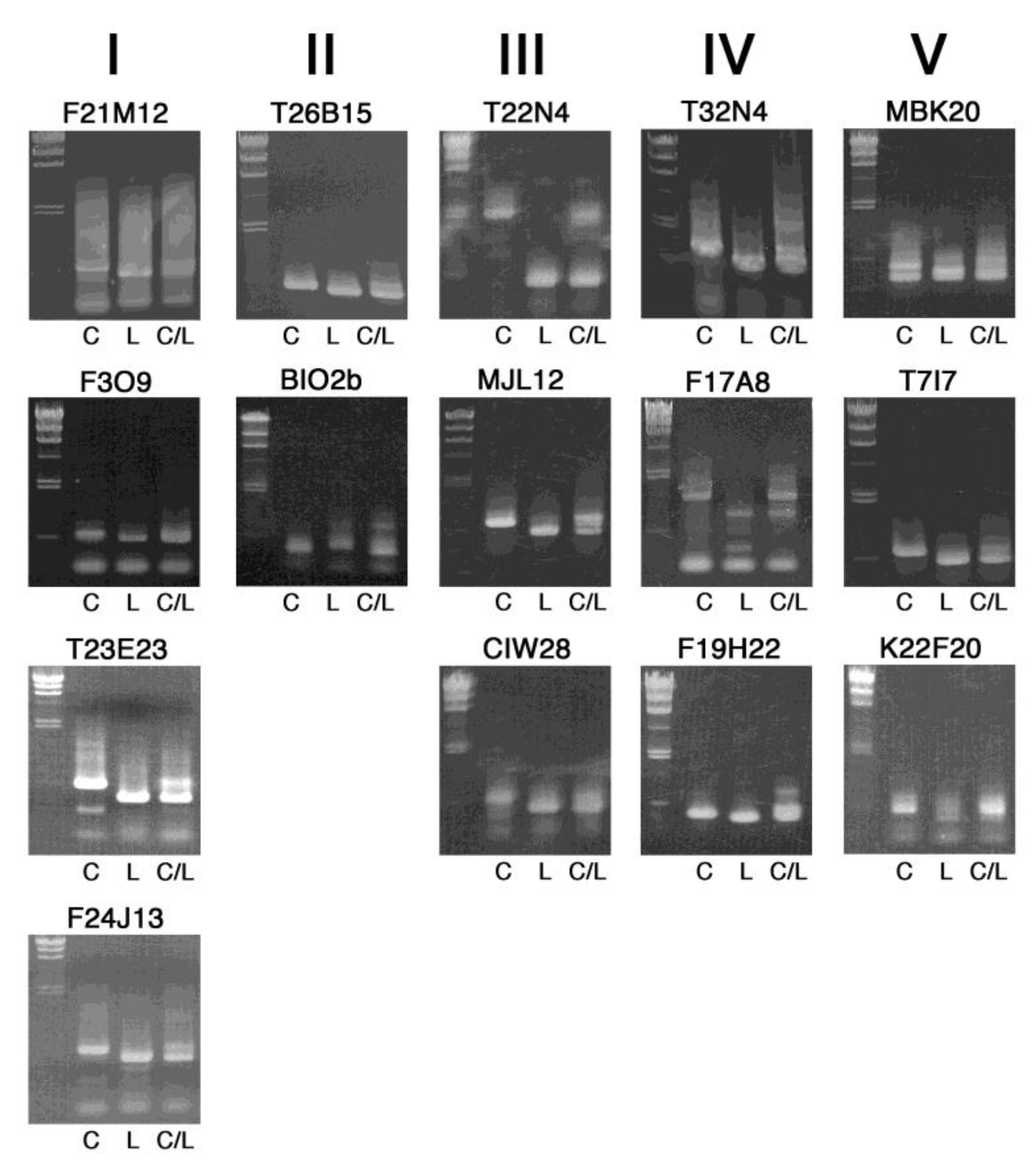 Plants 09 00779 g003