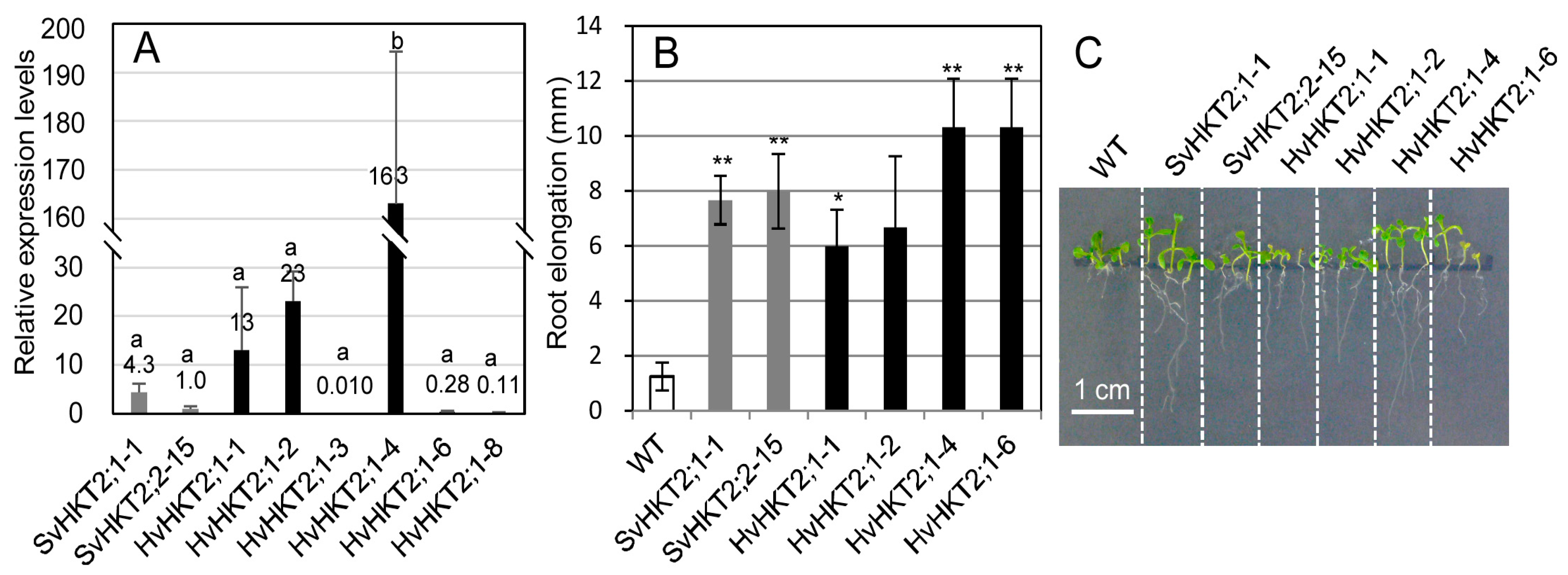 Plants 09 00786 g001