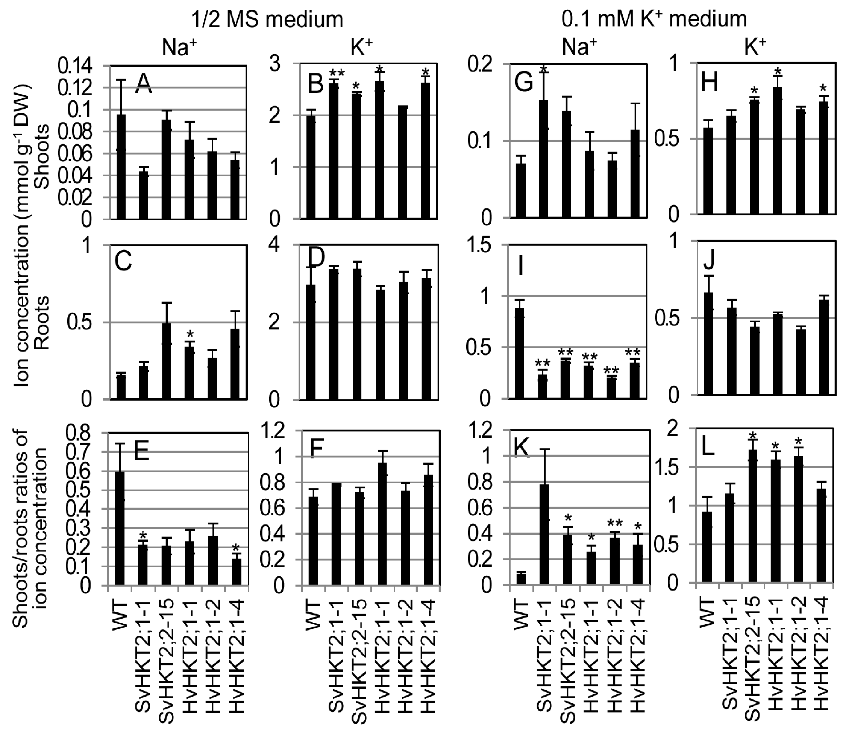 Plants 09 00786 g002