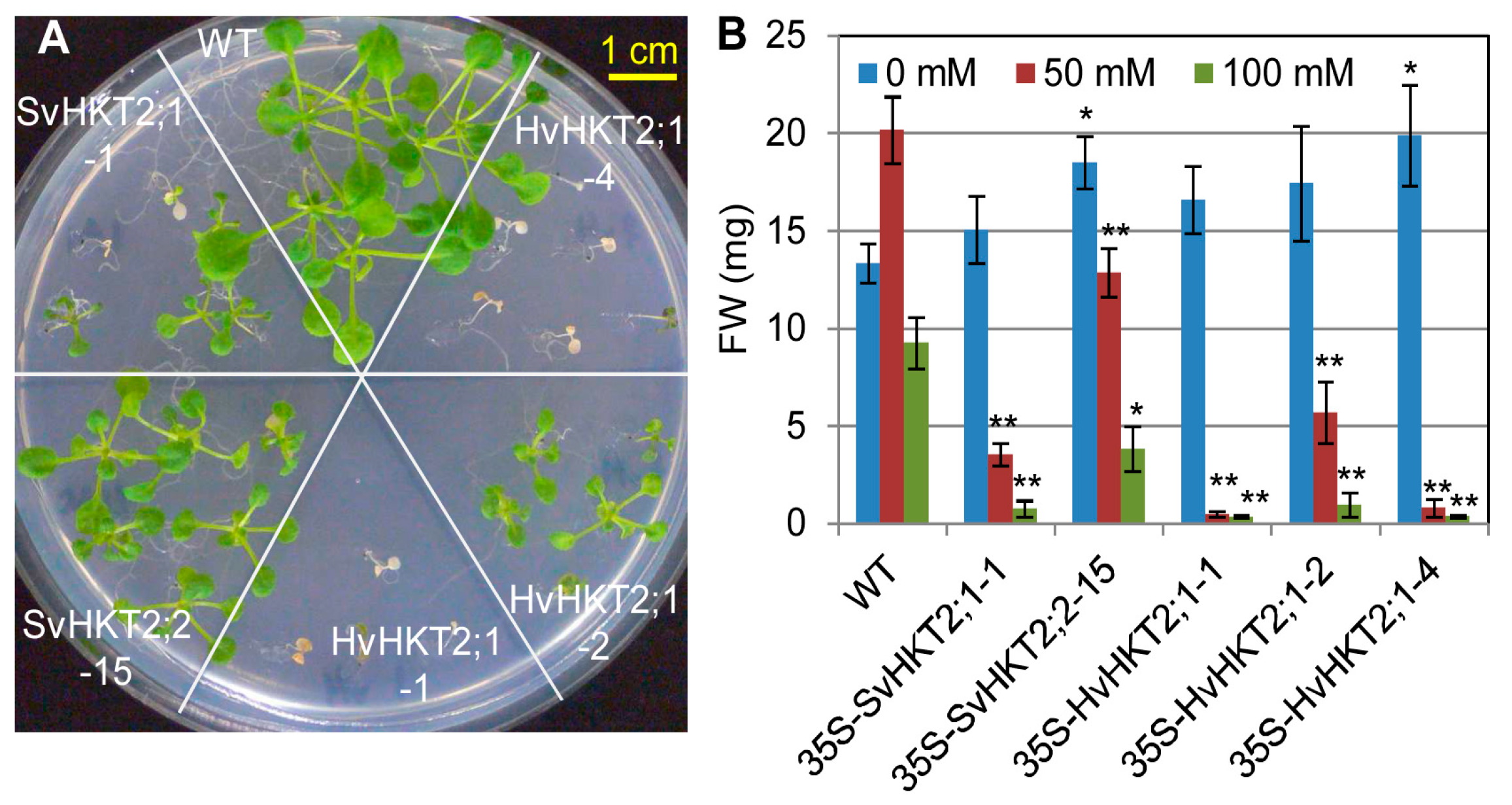 Plants 09 00786 g003