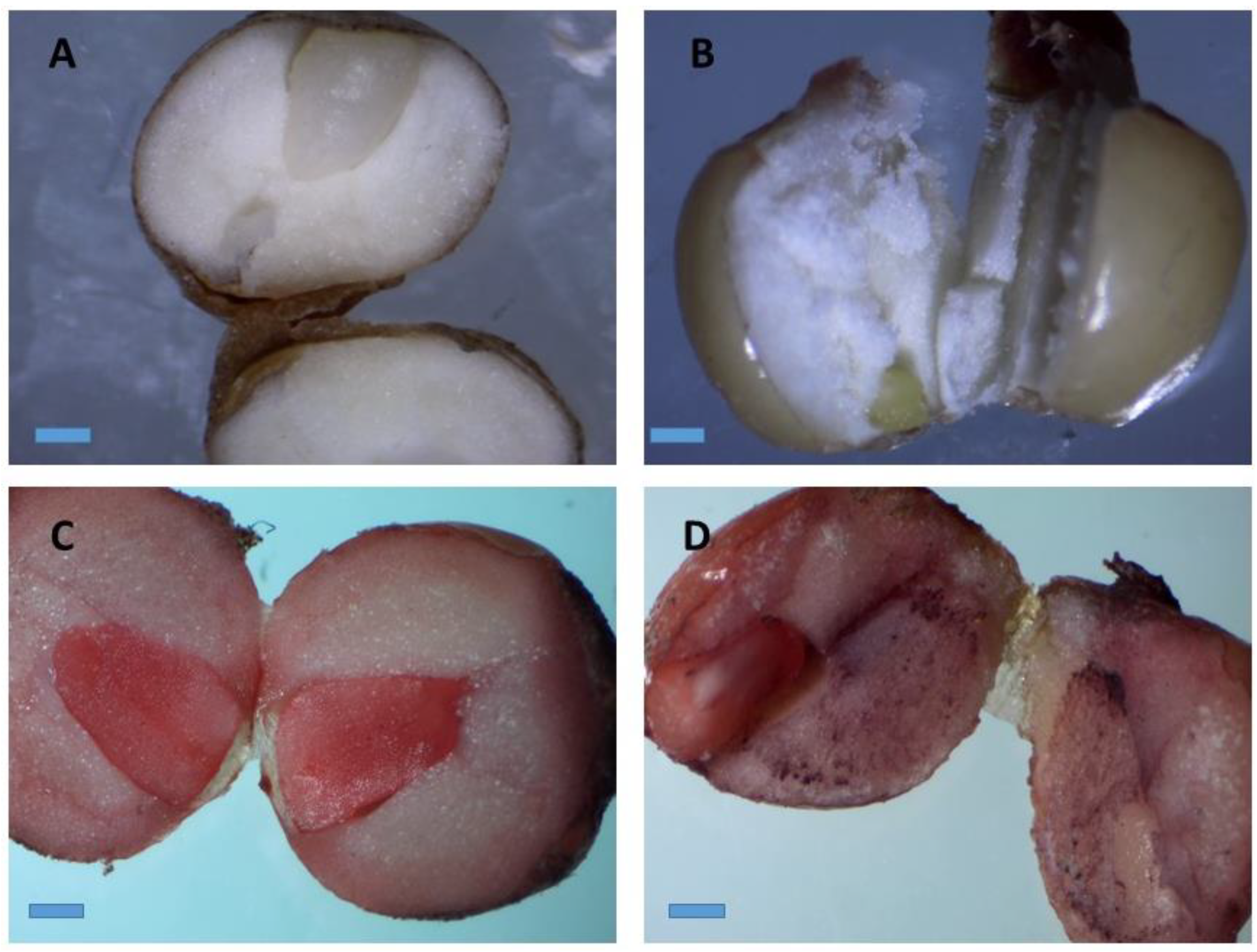 Plants 09 00816 g002