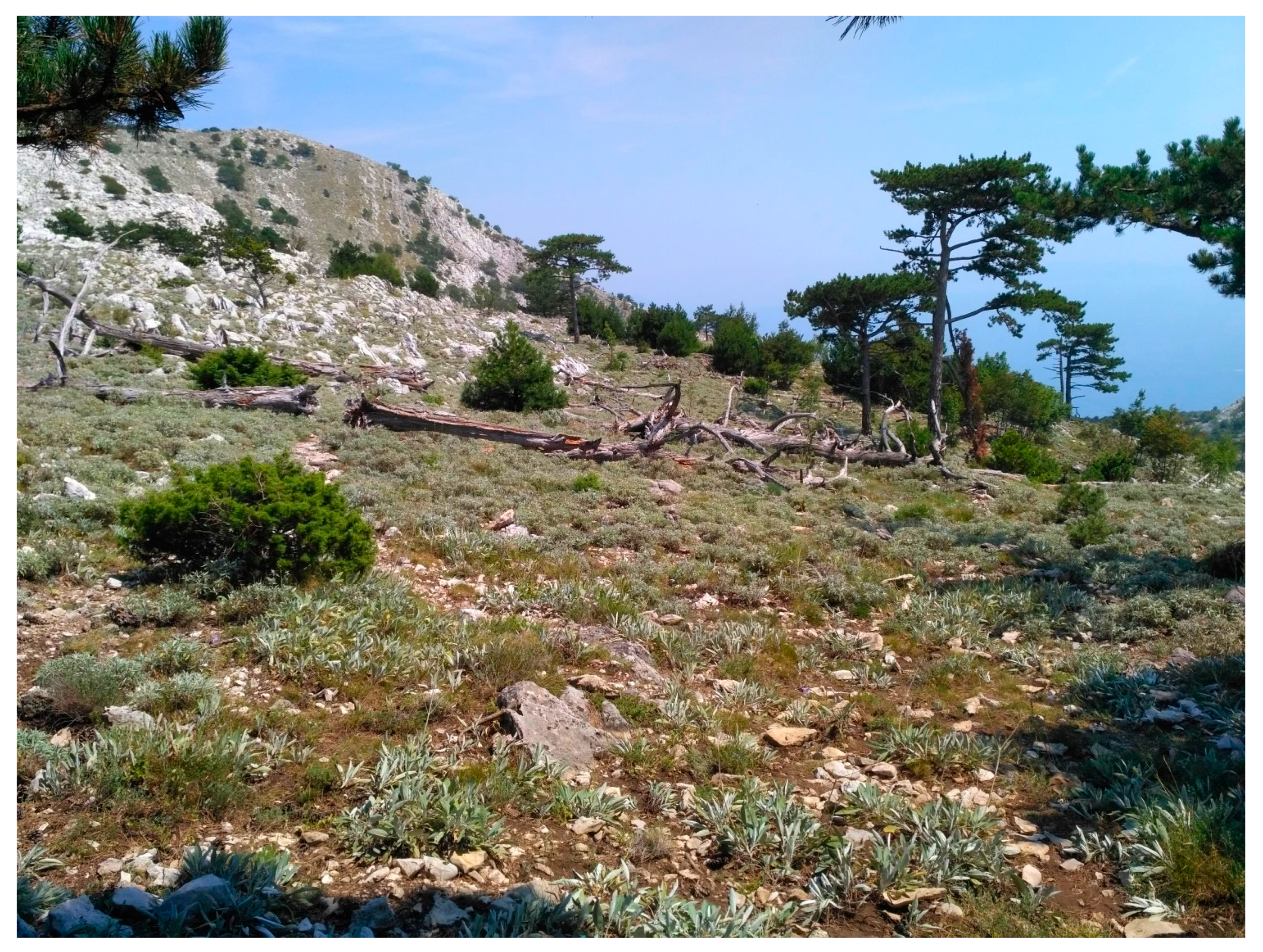 Plants 09 00828 g001