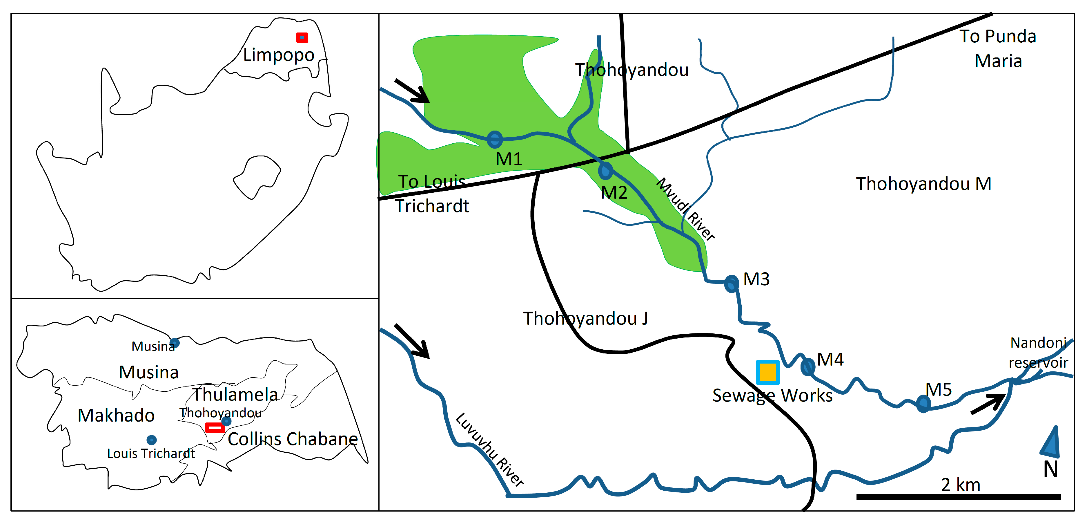 Plants 09 00846 g004