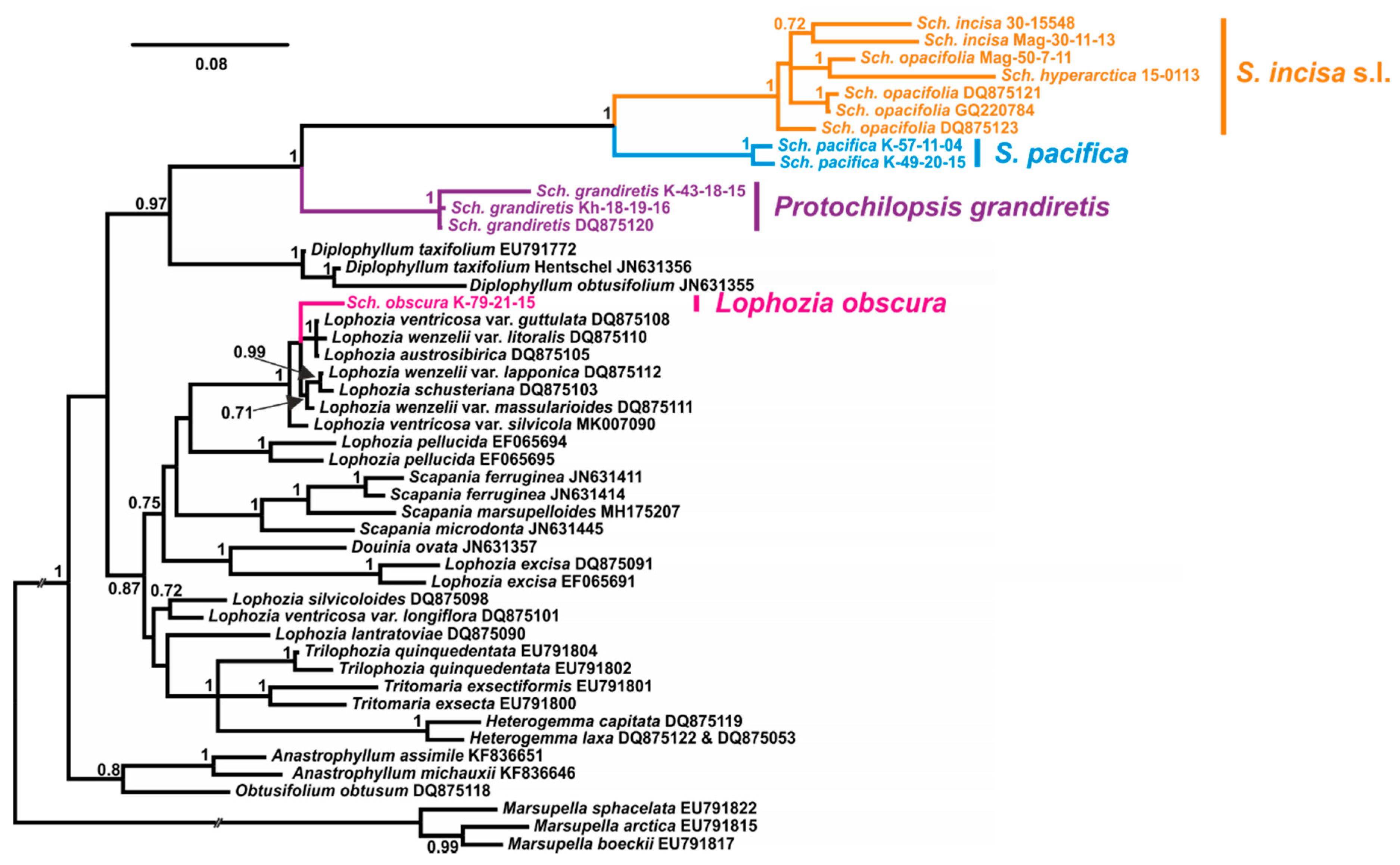 Plants 09 00850 g001 Plants 09 00850 g001