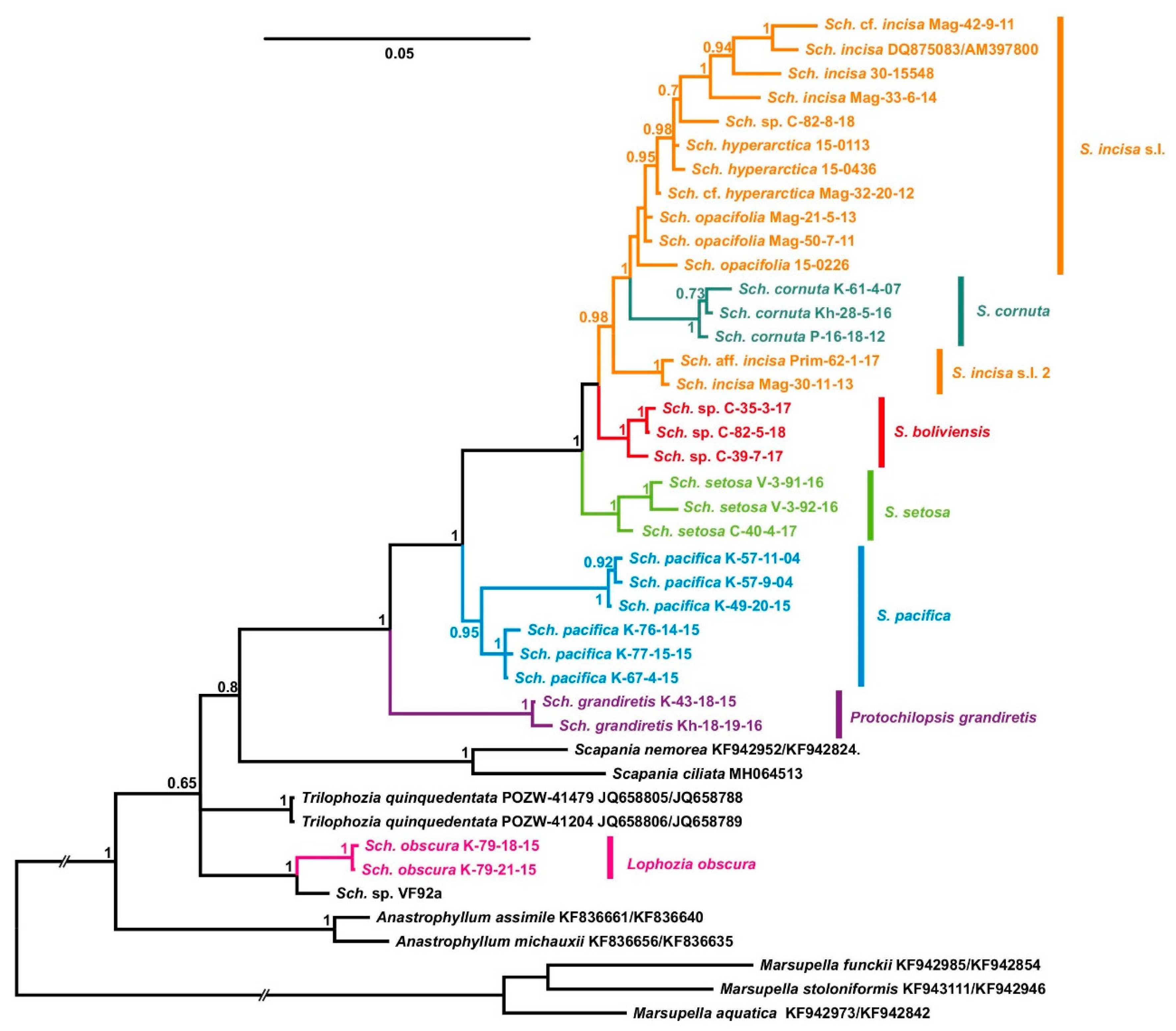Plants 09 00850 g002 Plants 09 00850 g002