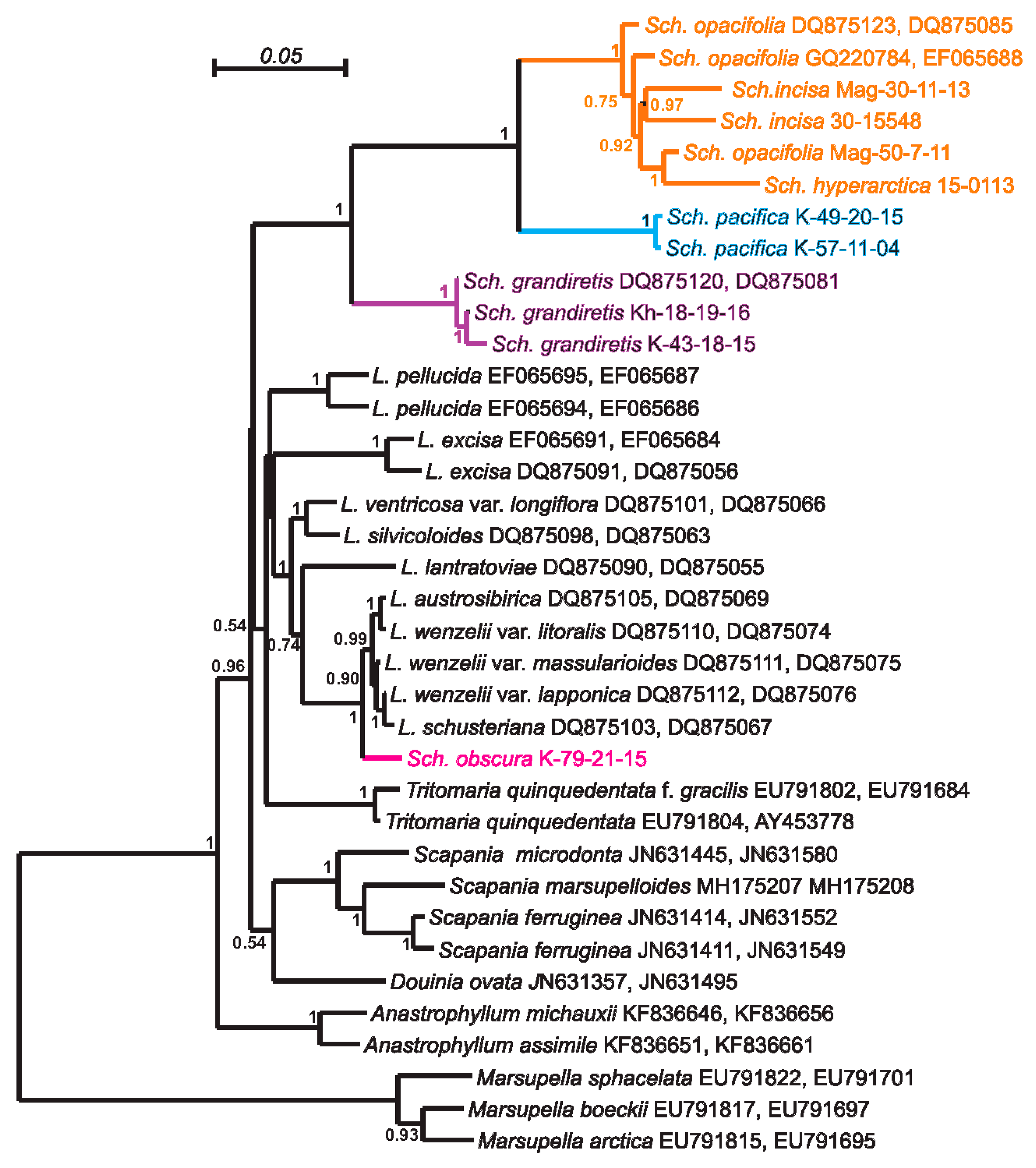 Plants 09 00850 g003 Plants 09 00850 g003