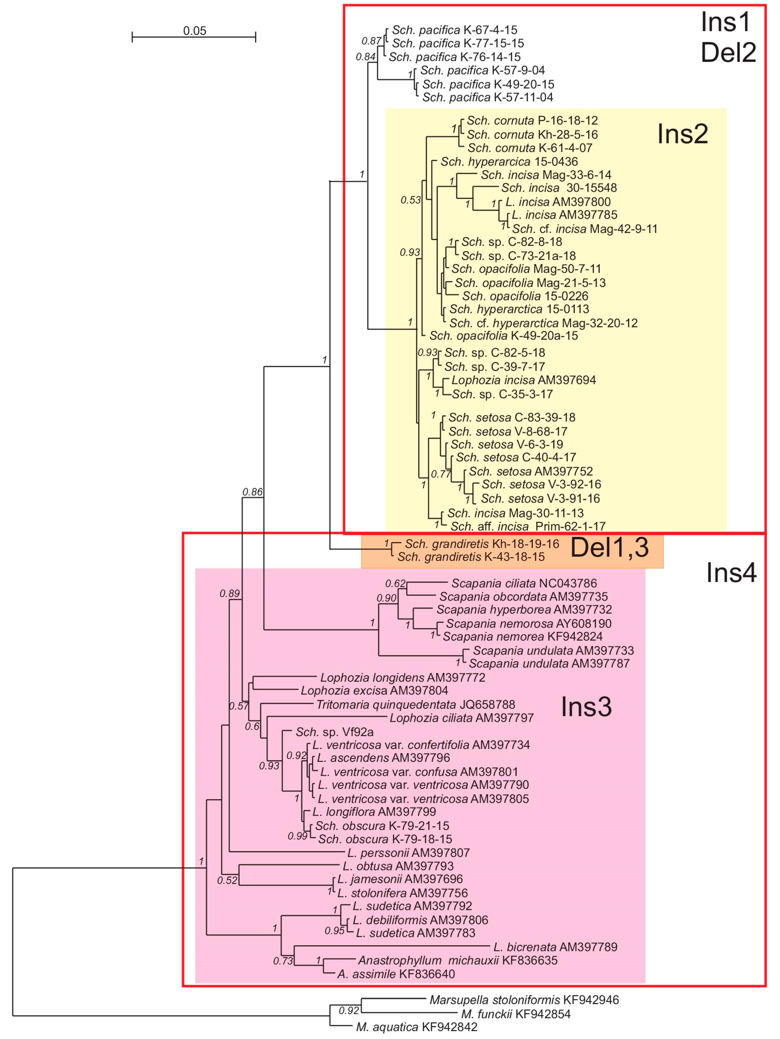 Plants 09 00850 g004 Plants 09 00850 g004