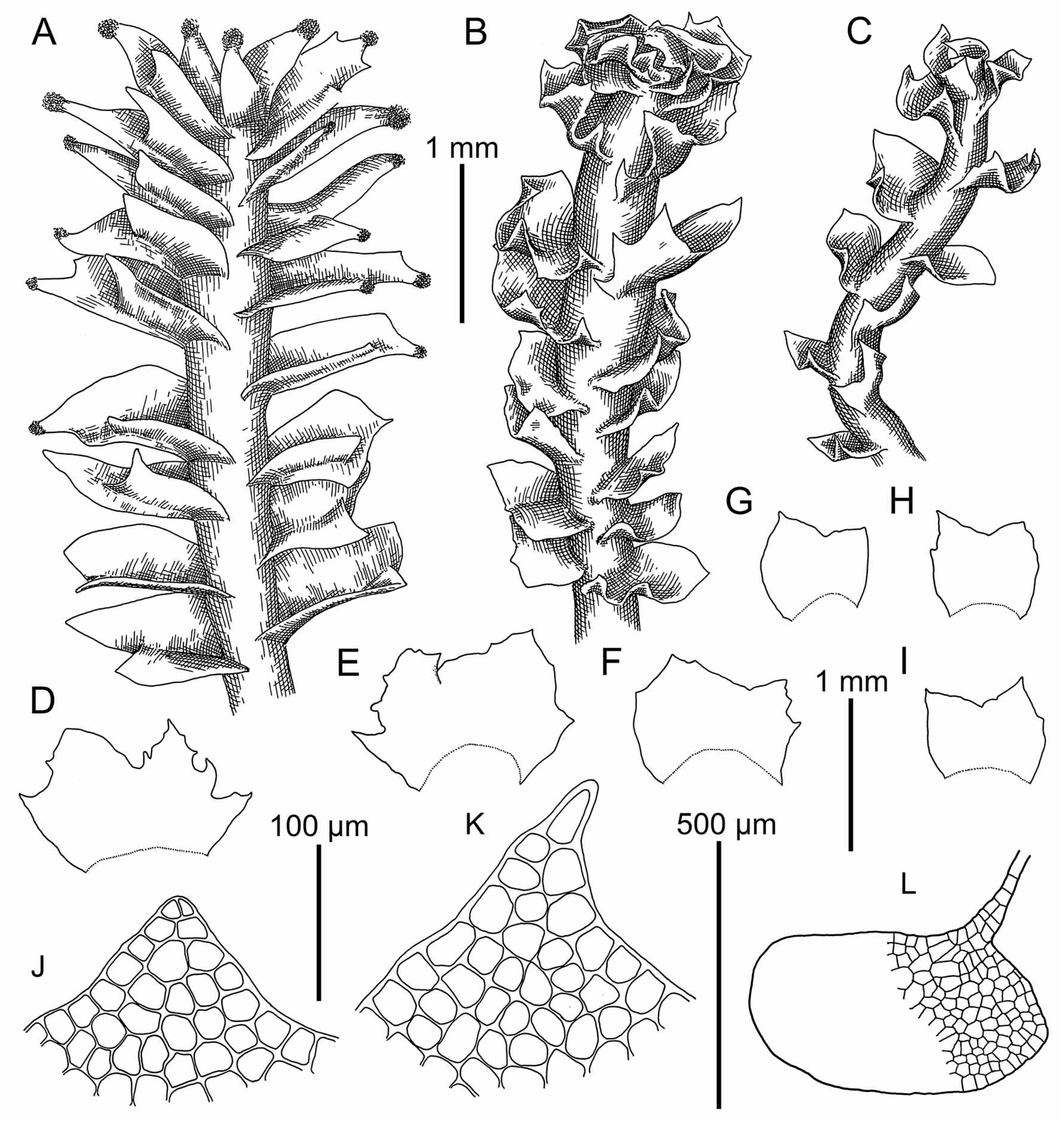 Plants 09 00850 g008 Plants 09 00850 g008