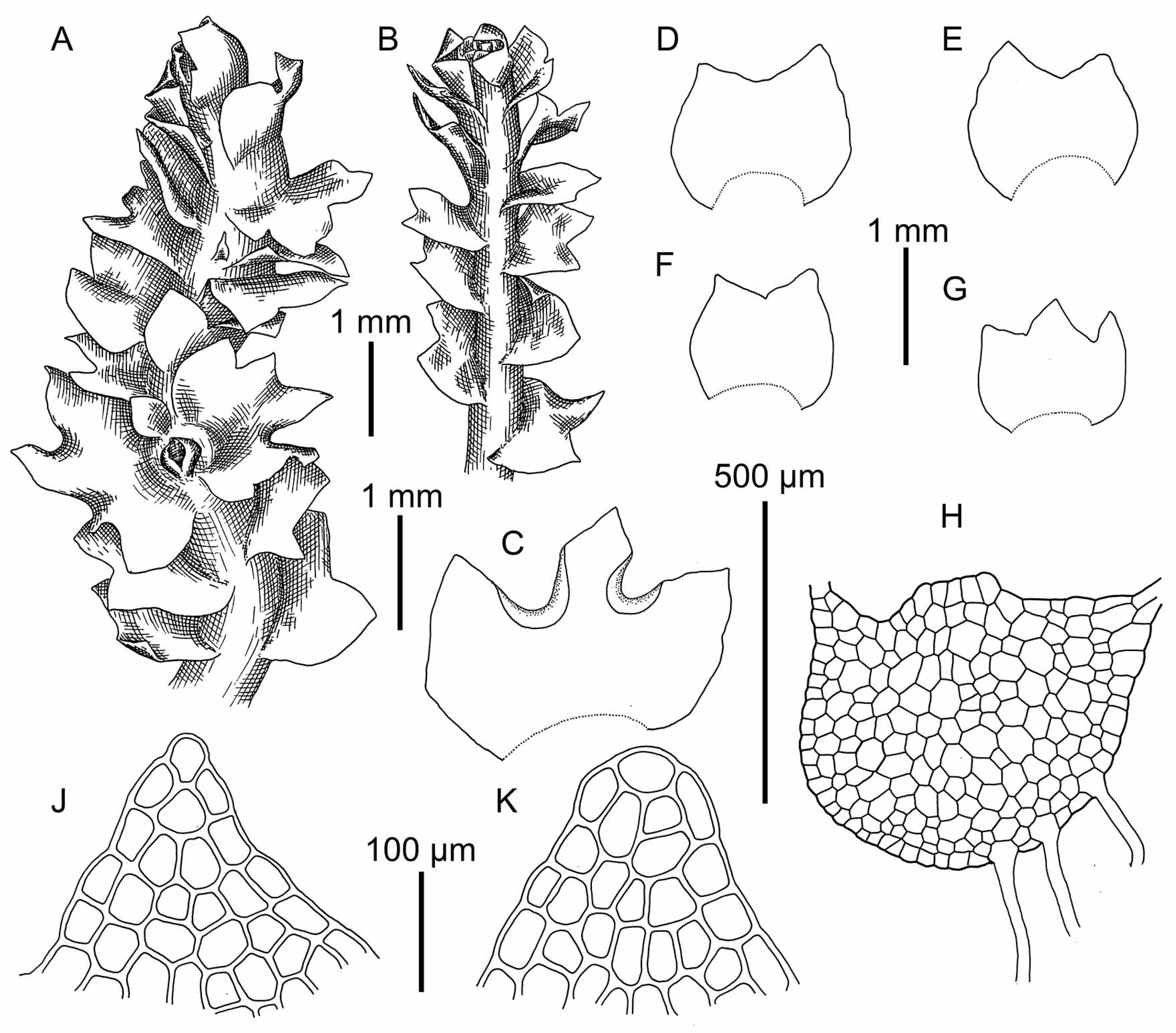 Plants 09 00850 g012 Plants 09 00850 g012