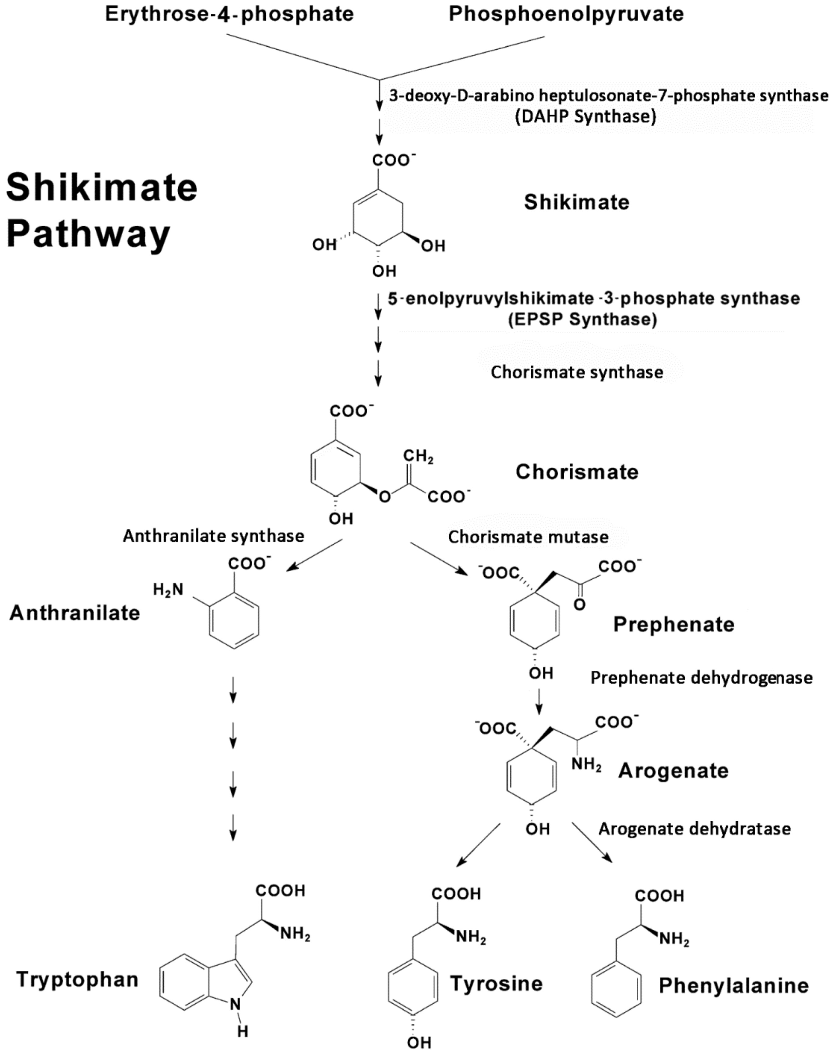 Plants 09 00851 g001 Plants 09 00851 g001
