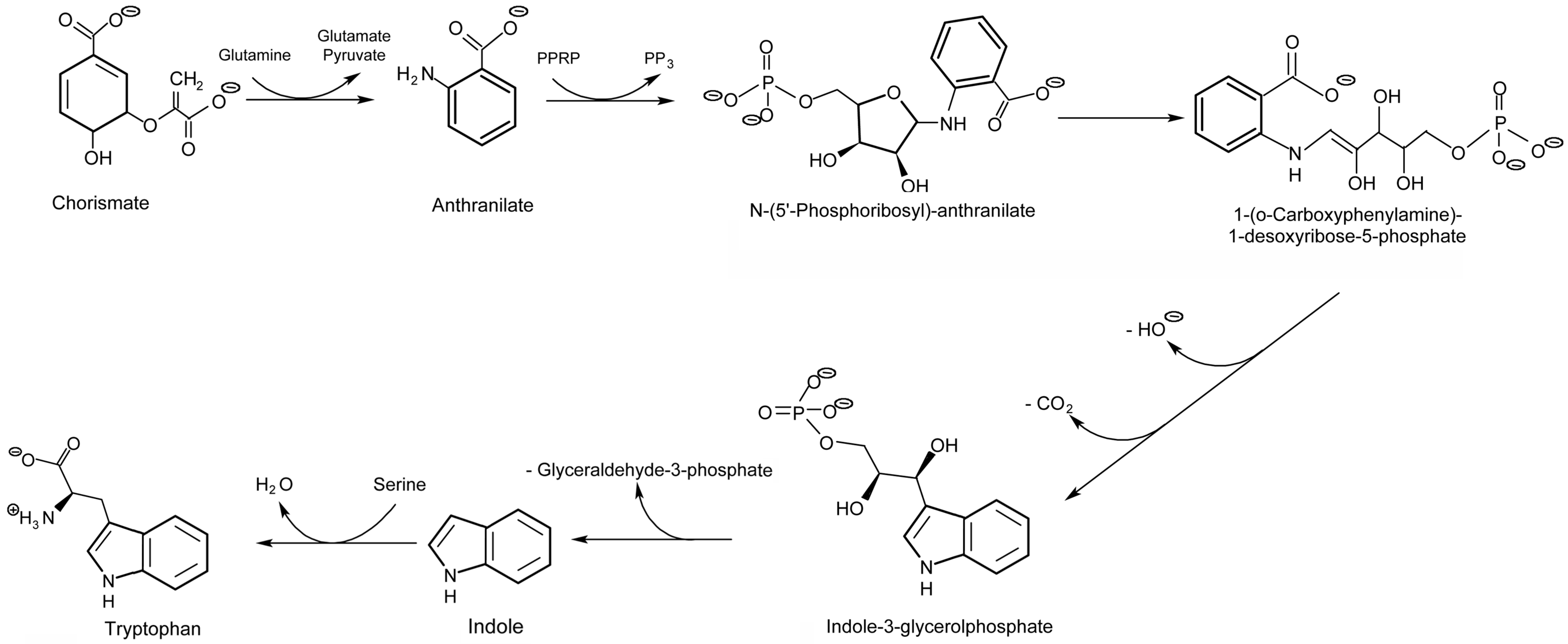 Plants 09 00851 g005 Plants 09 00851 g005