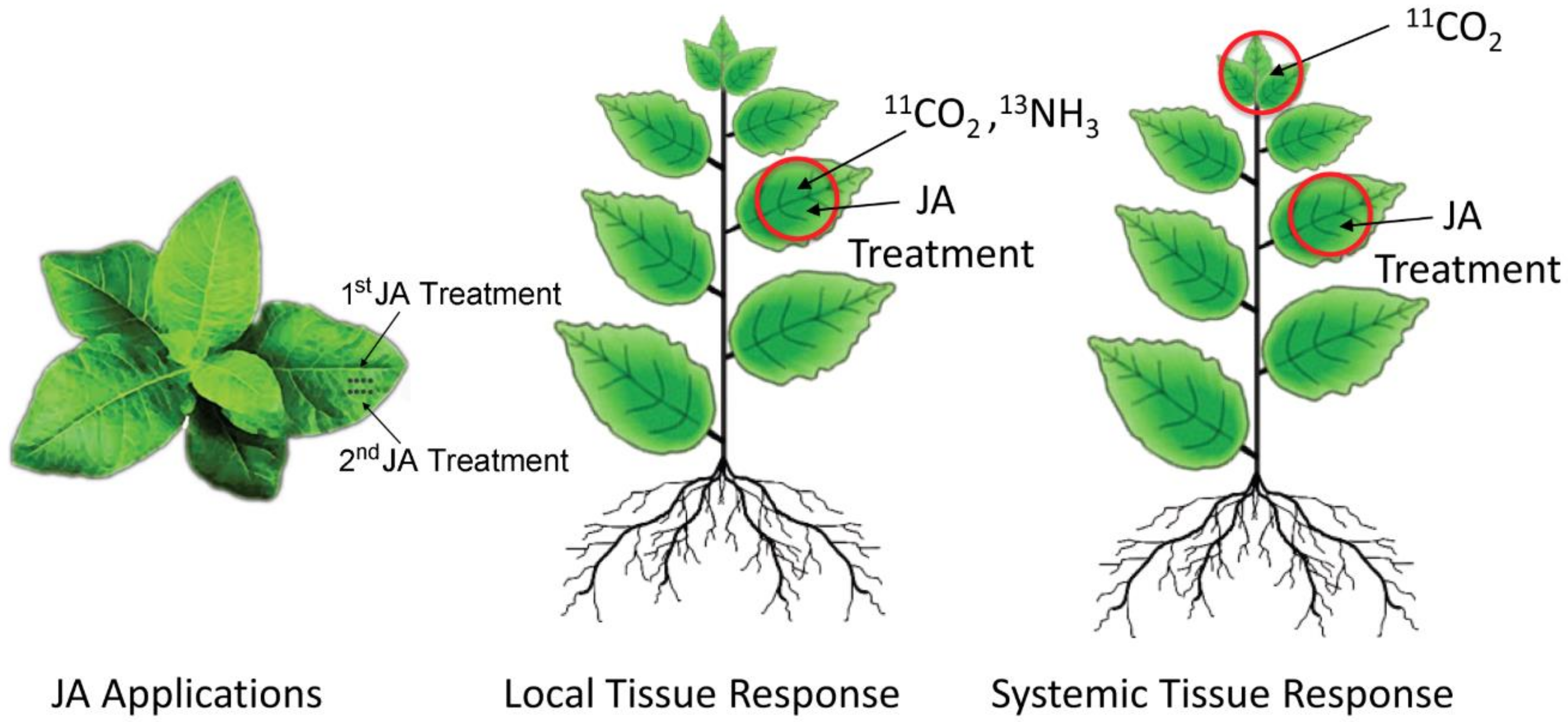 Plants 09 00851 g010 Plants 09 00851 g010
