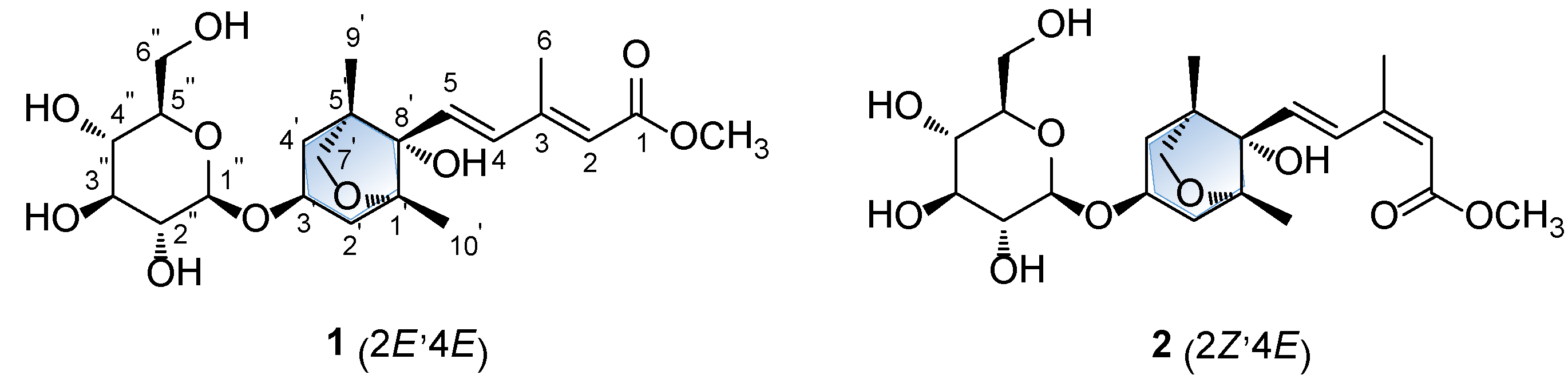 Plants 09 00858 g001