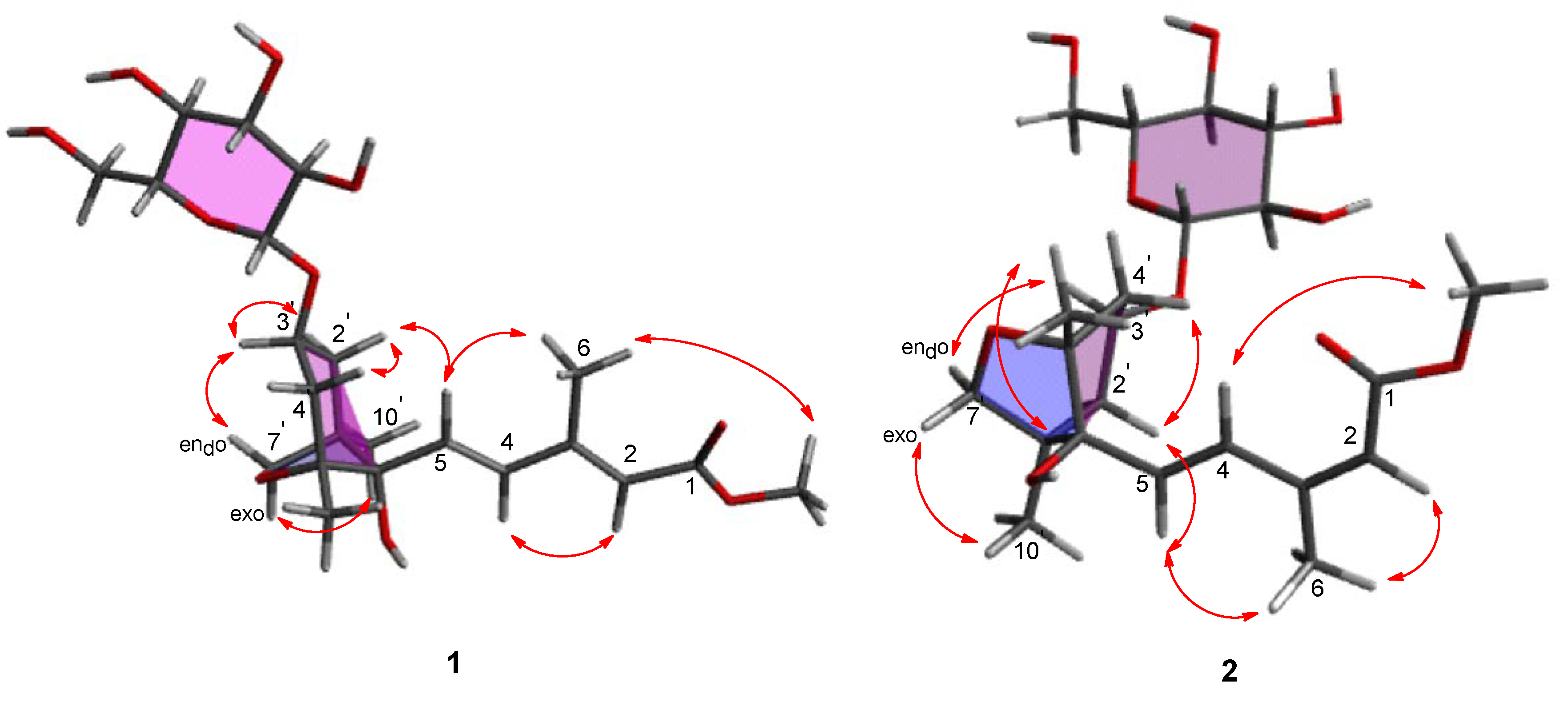Plants 09 00858 g003