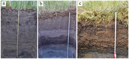 Plants 09 00867 g0a2