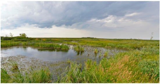 Plants 09 00867 g0a4