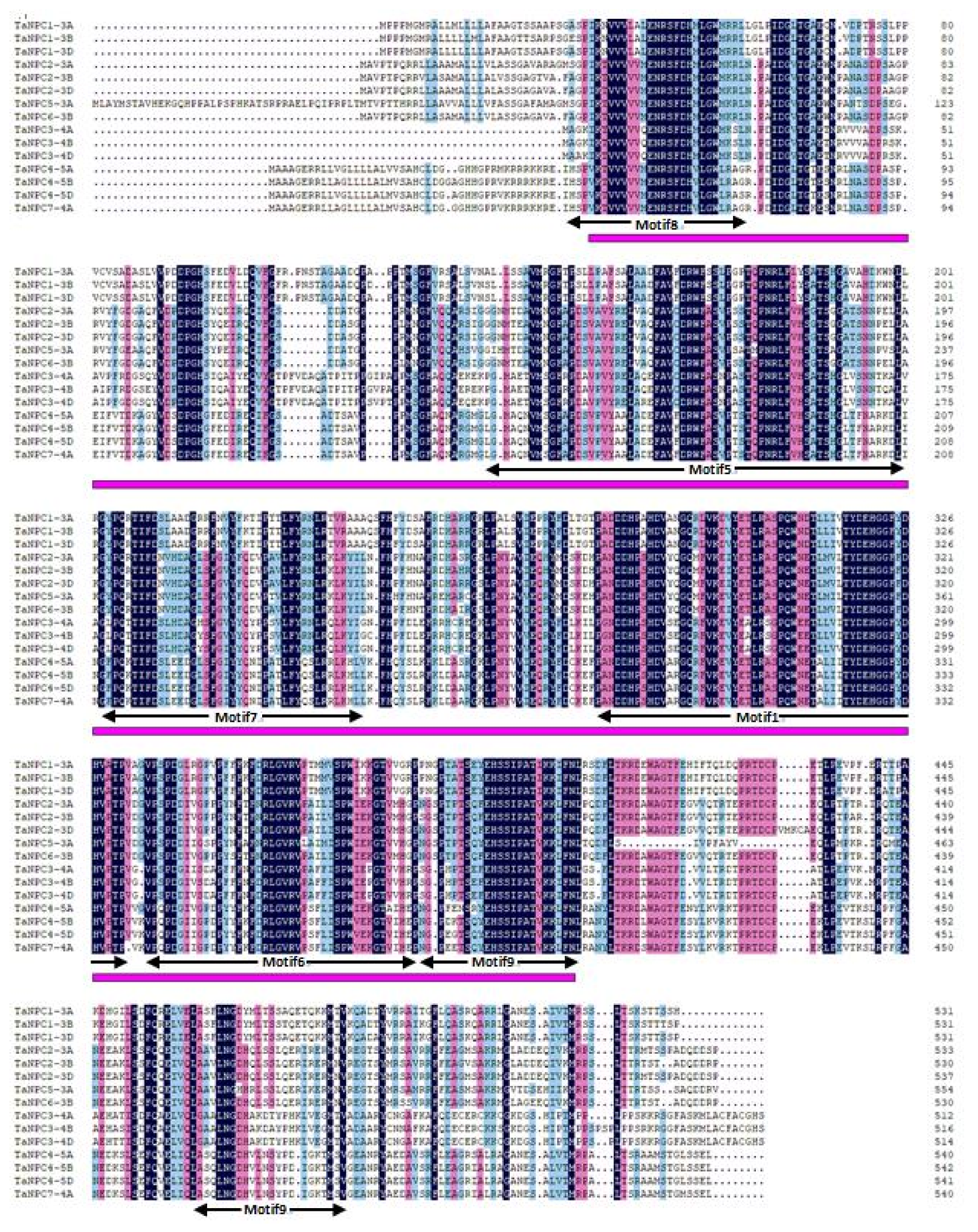 Plants 09 00885 g002