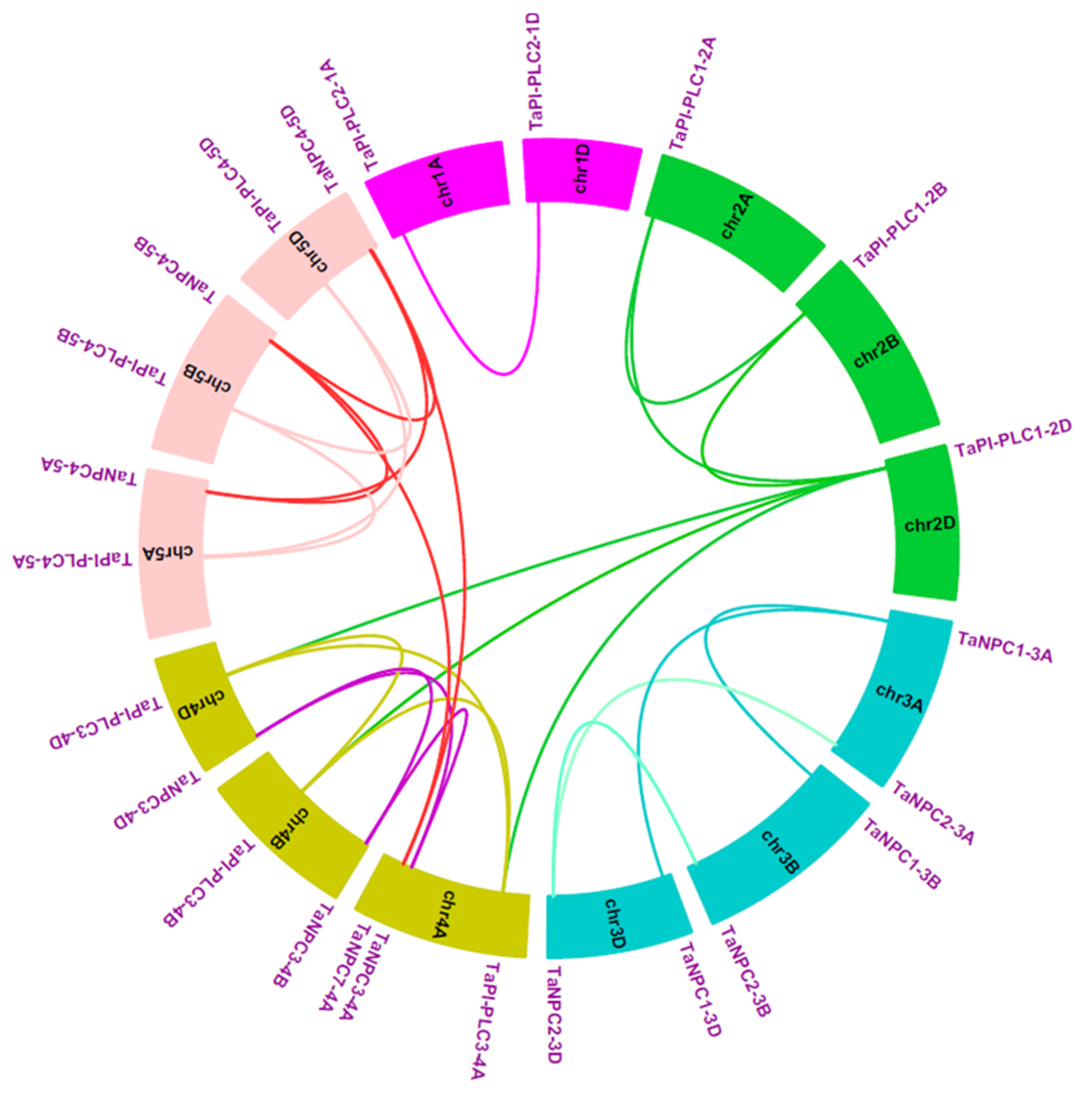 Plants 09 00885 g006
