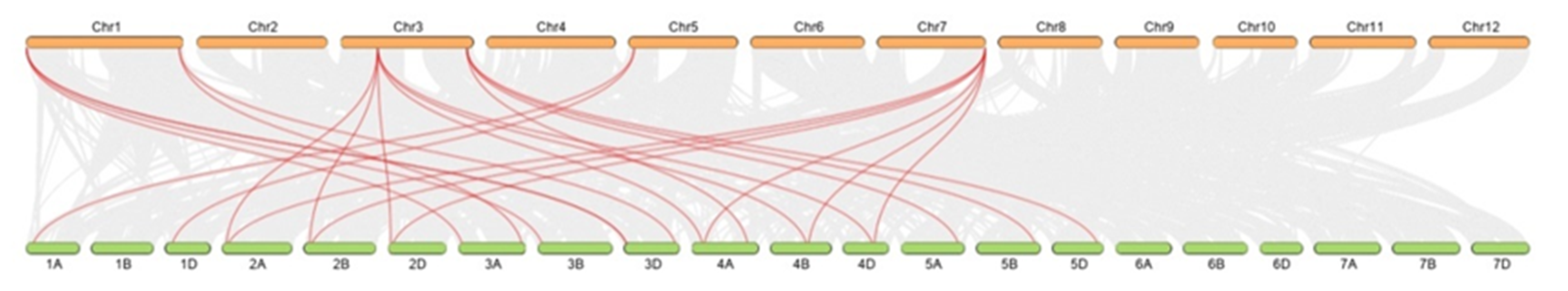 Plants 09 00885 g007