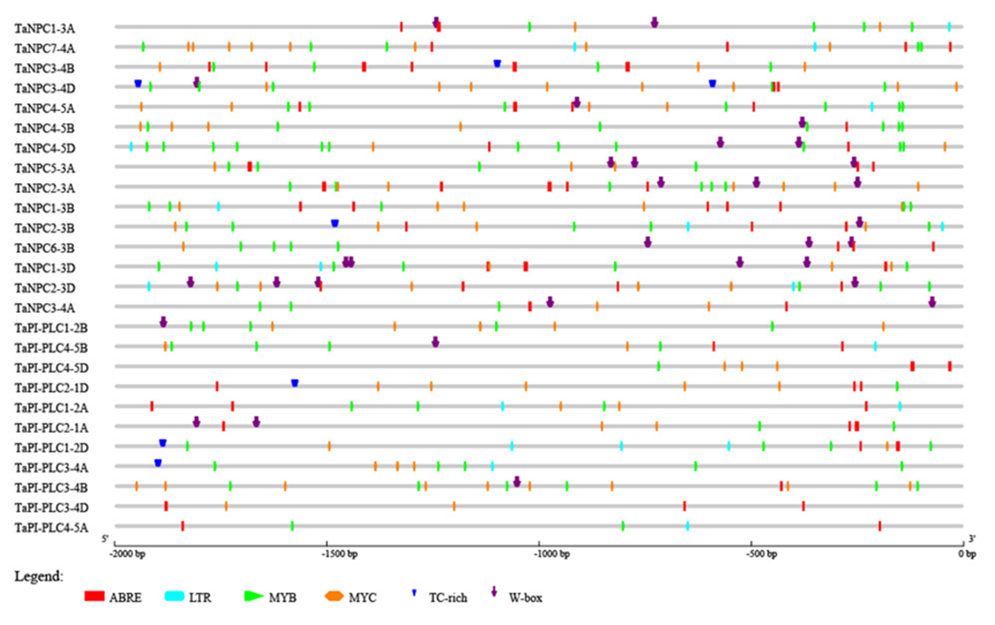 Plants 09 00885 g008