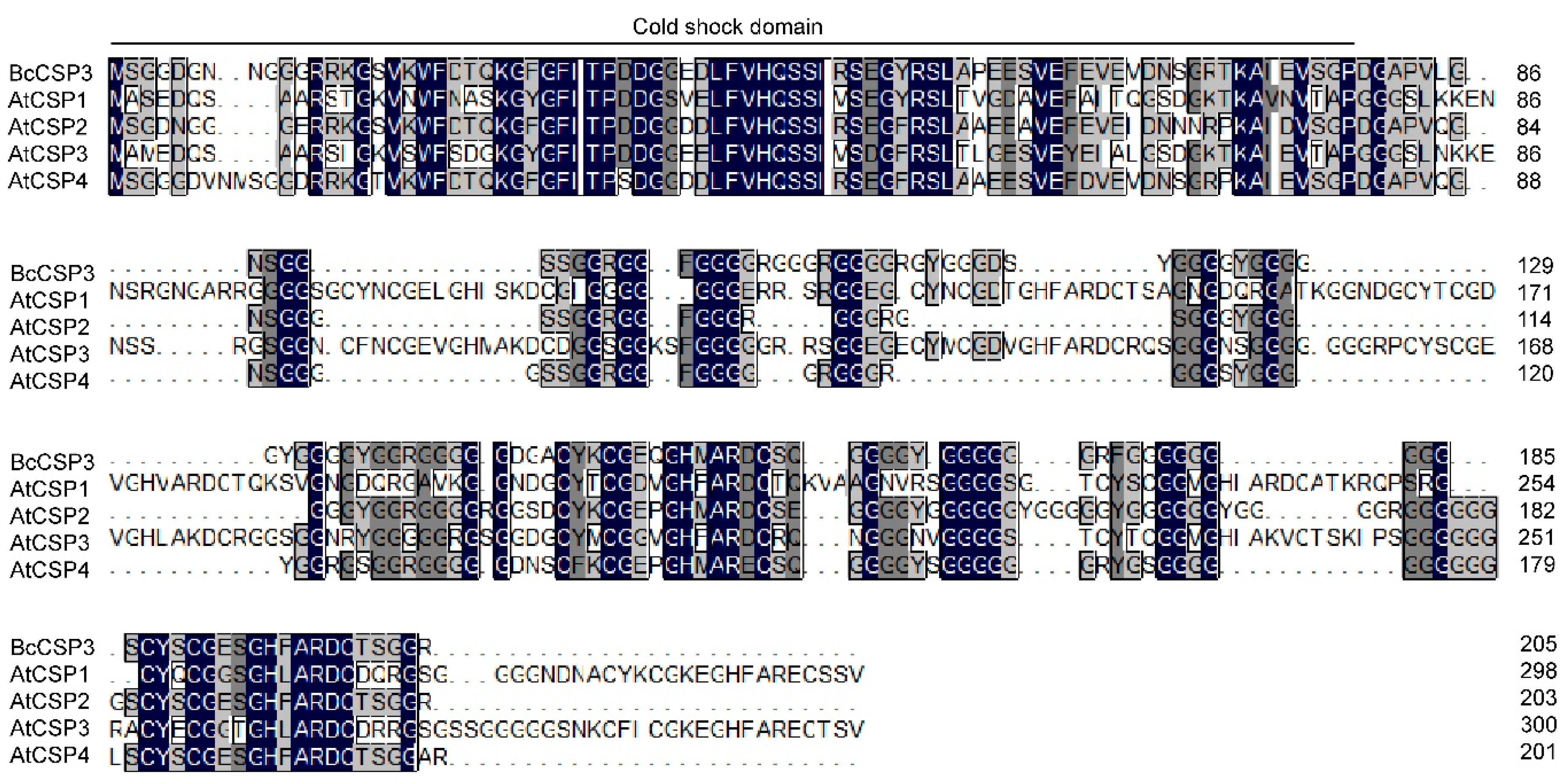 Plants 09 00890 g004