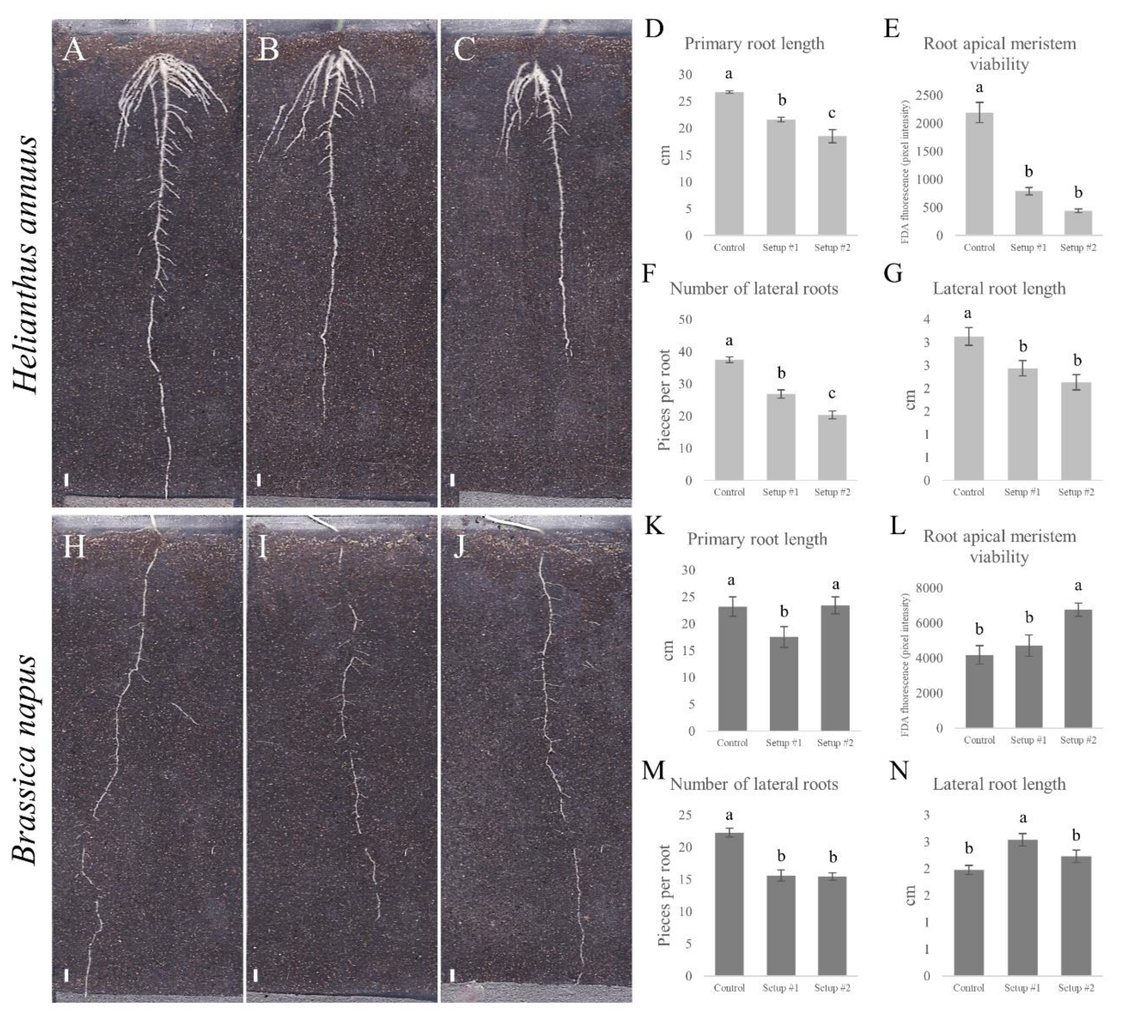 Plants 09 00902 g004 Plants 09 00902 g004