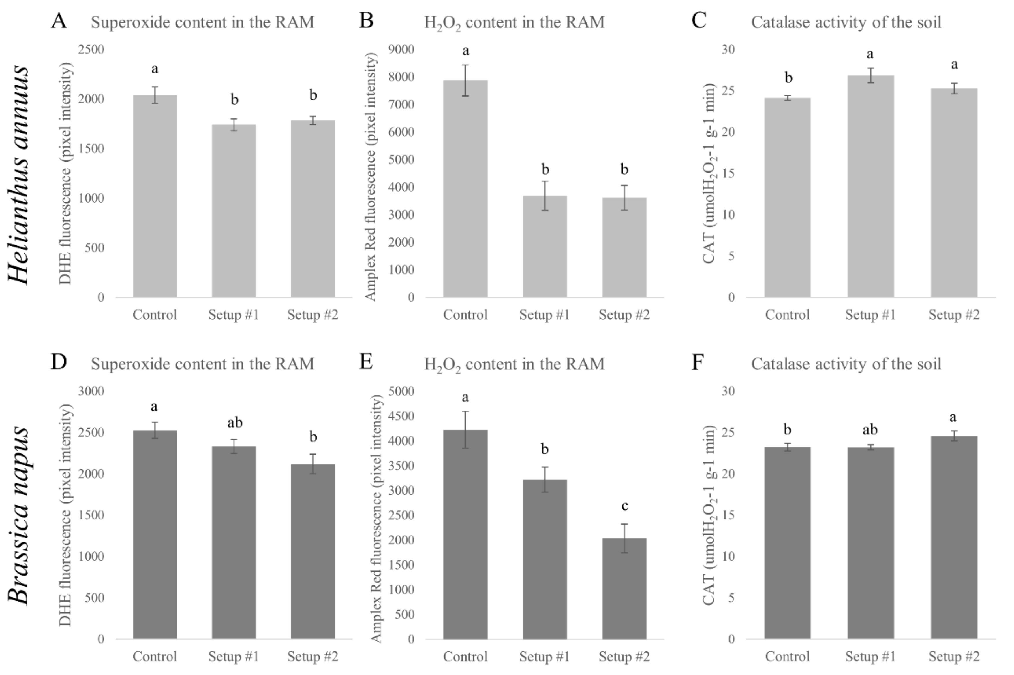 Plants 09 00902 g005 Plants 09 00902 g005