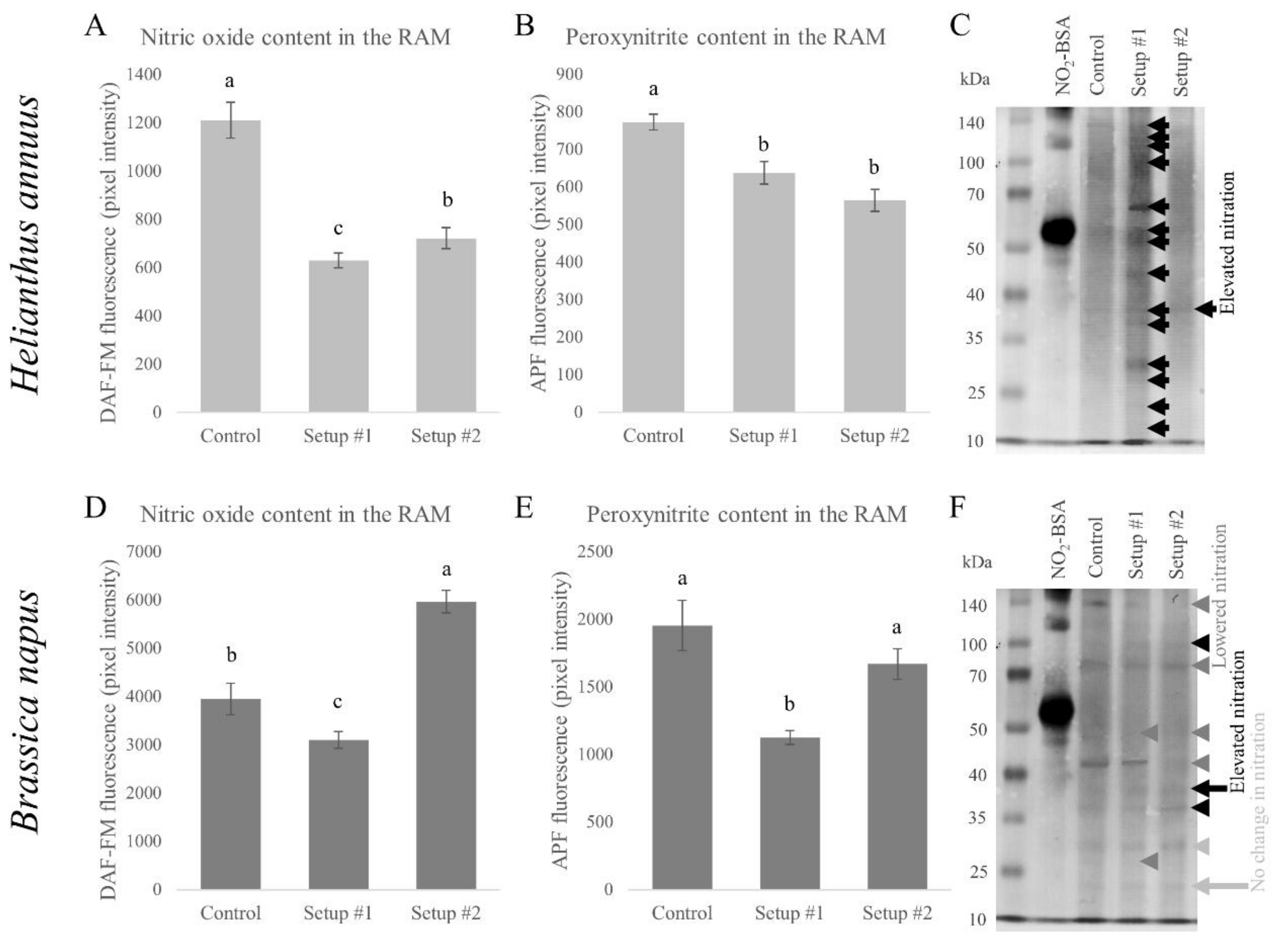 Plants 09 00902 g006 Plants 09 00902 g006