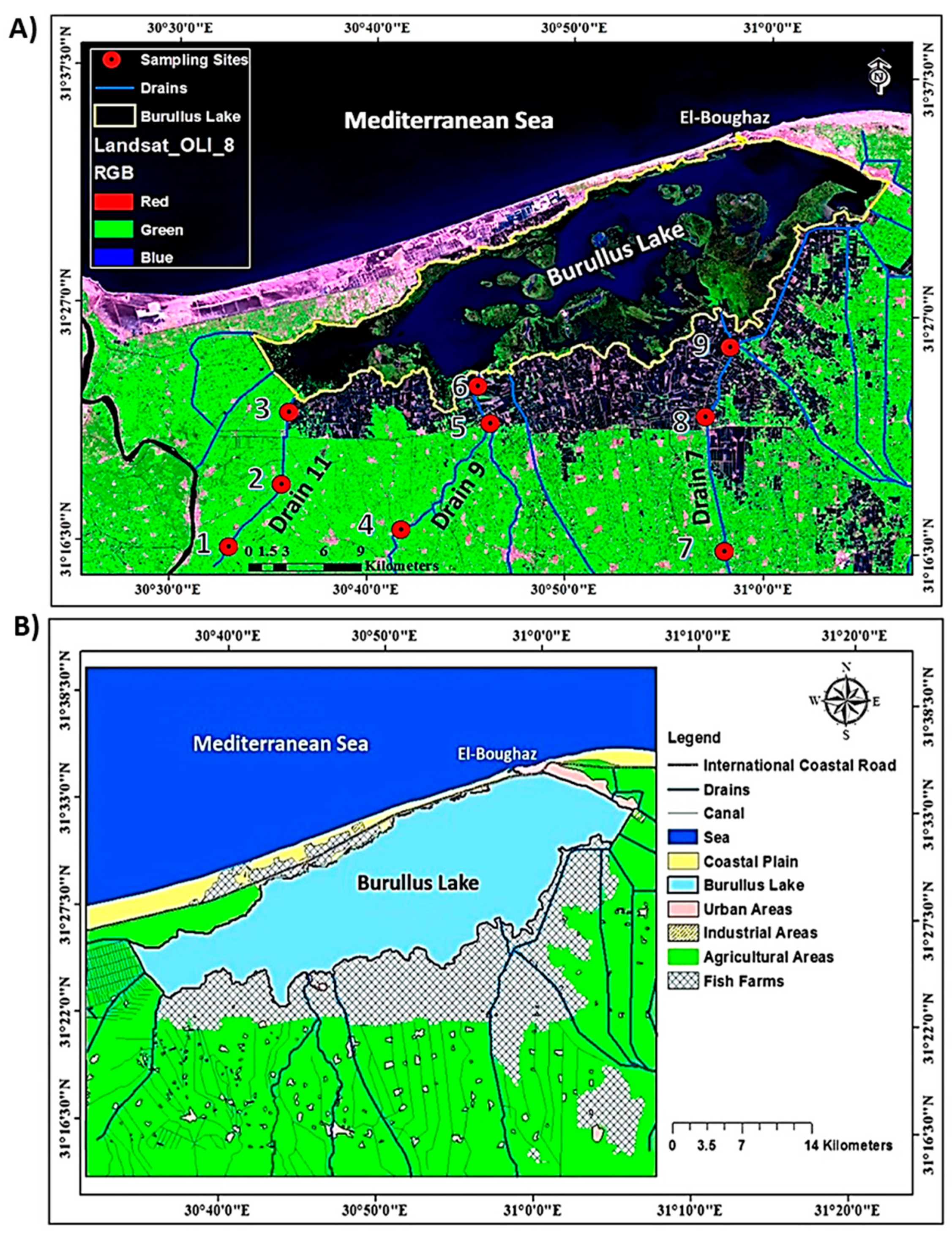 Plants 09 00910 g001