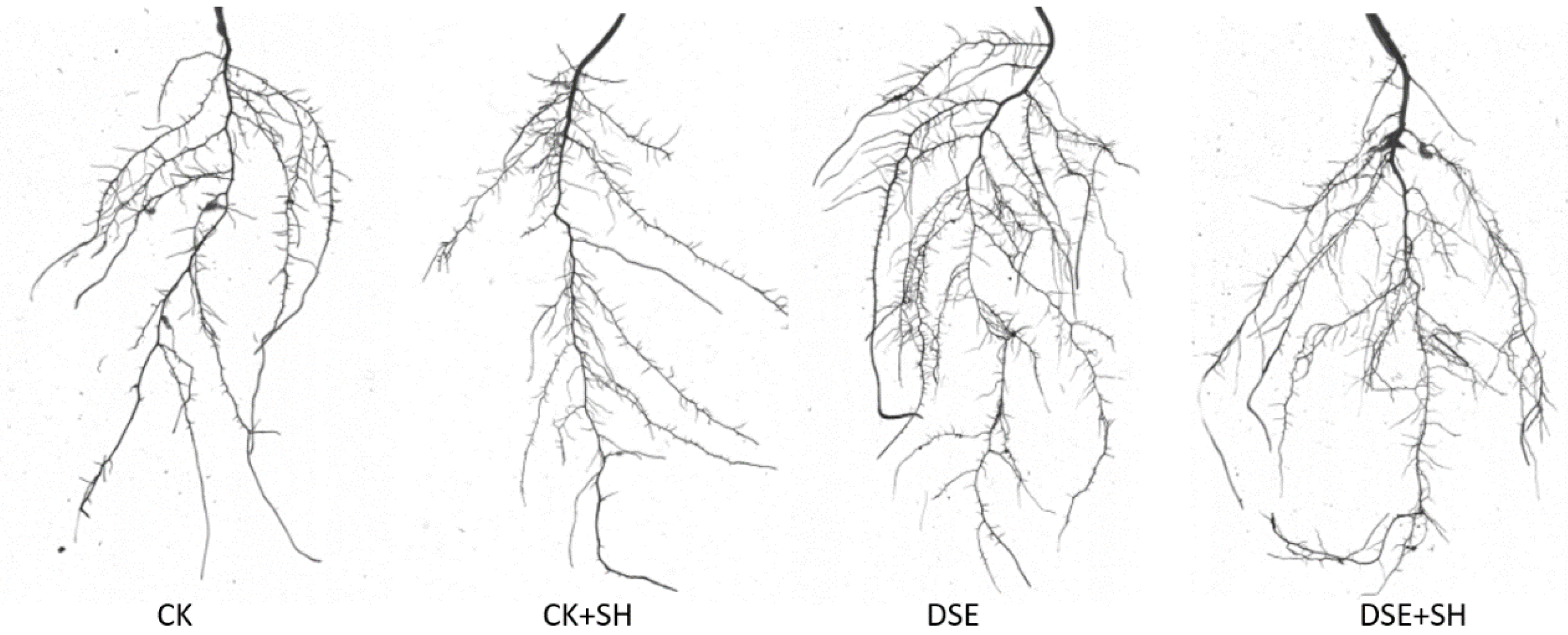 Plants 09 00913 g002
