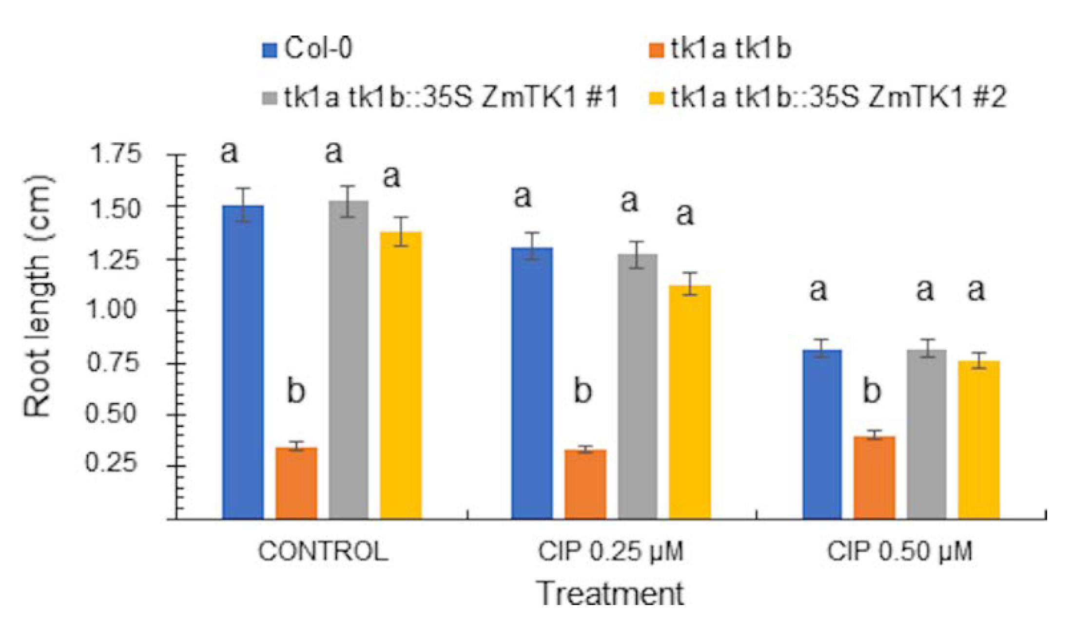 Plants 09 00930 g006