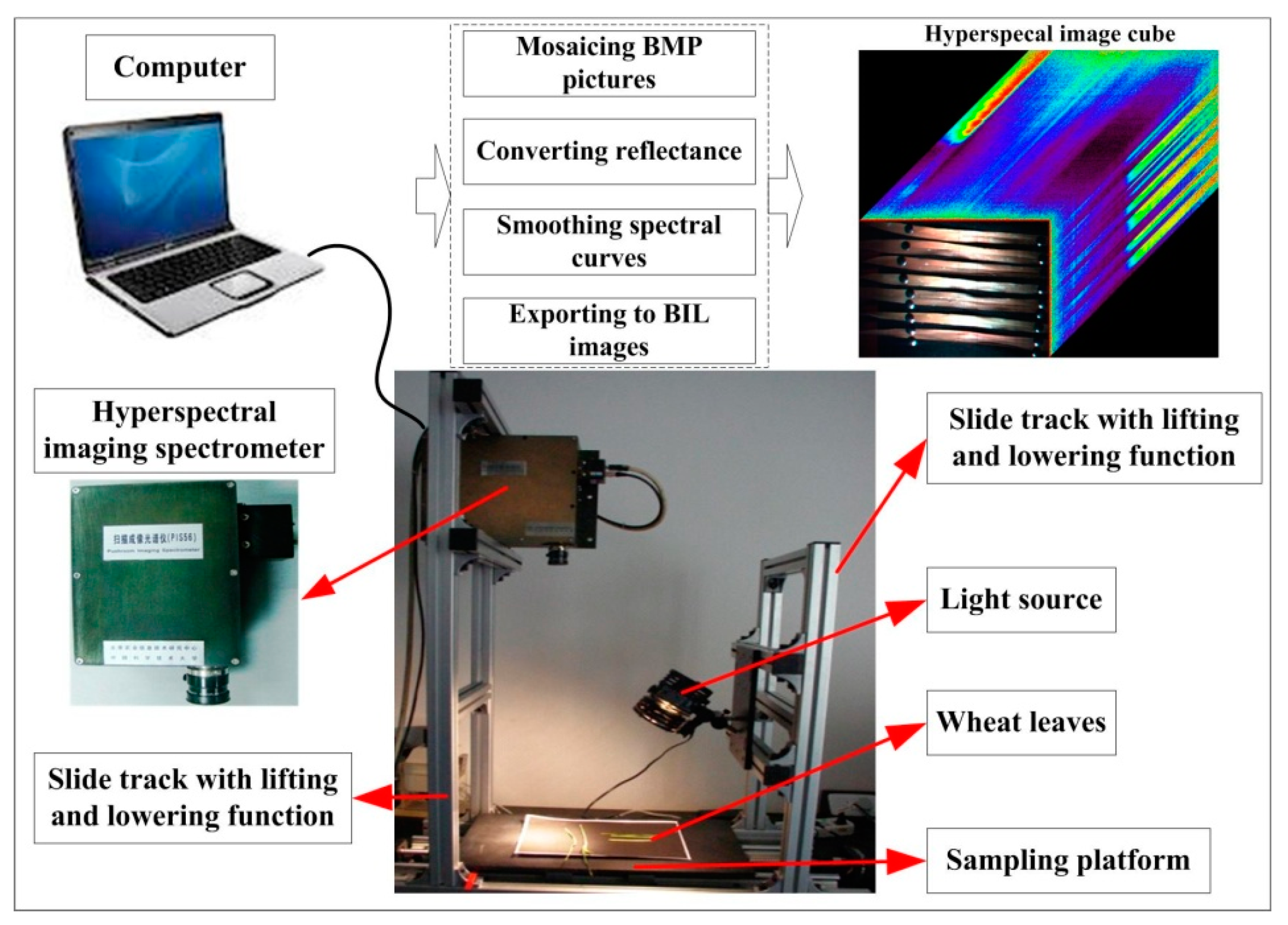 Plants 09 00936 g002