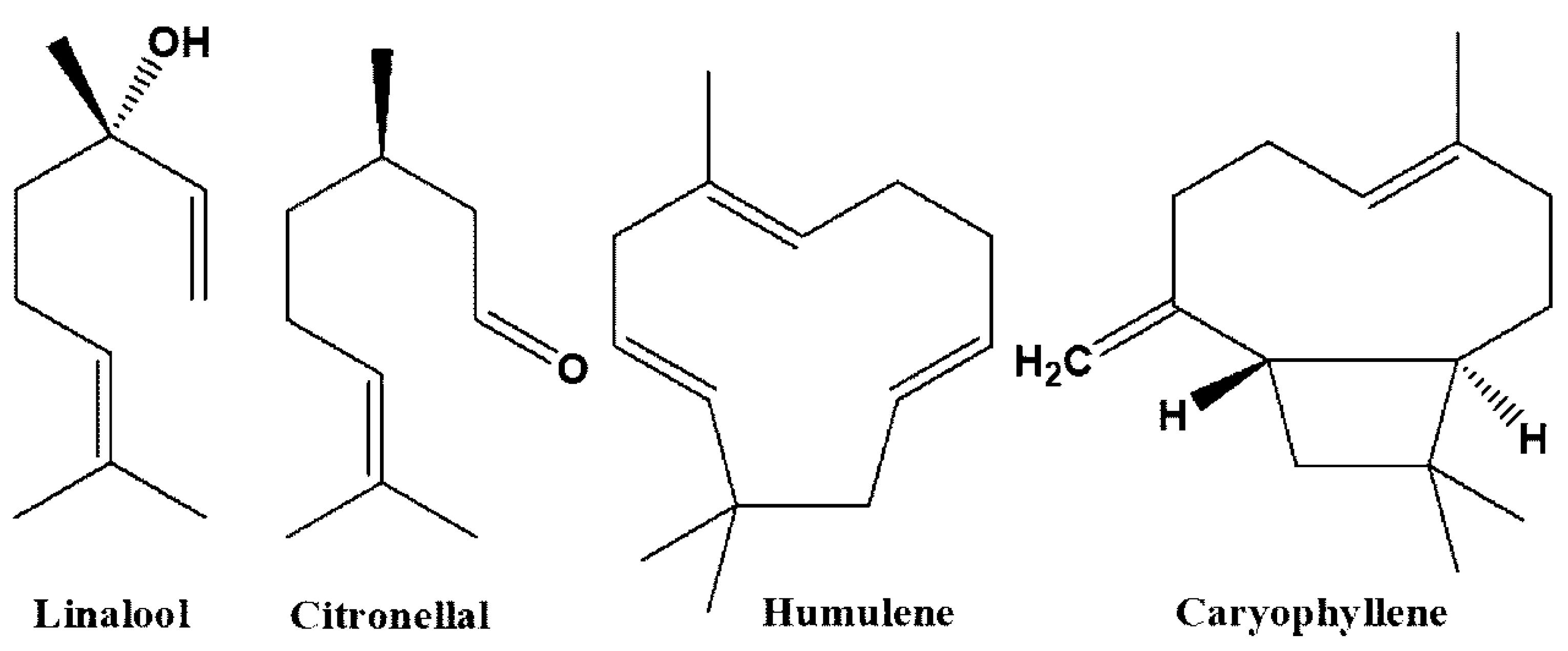 Plants 09 00959 g001