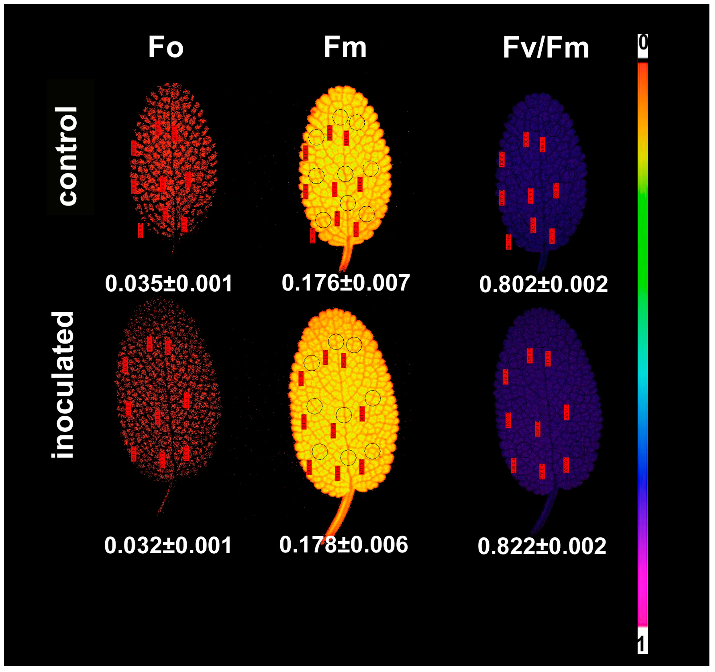 Plants 09 00962 g008