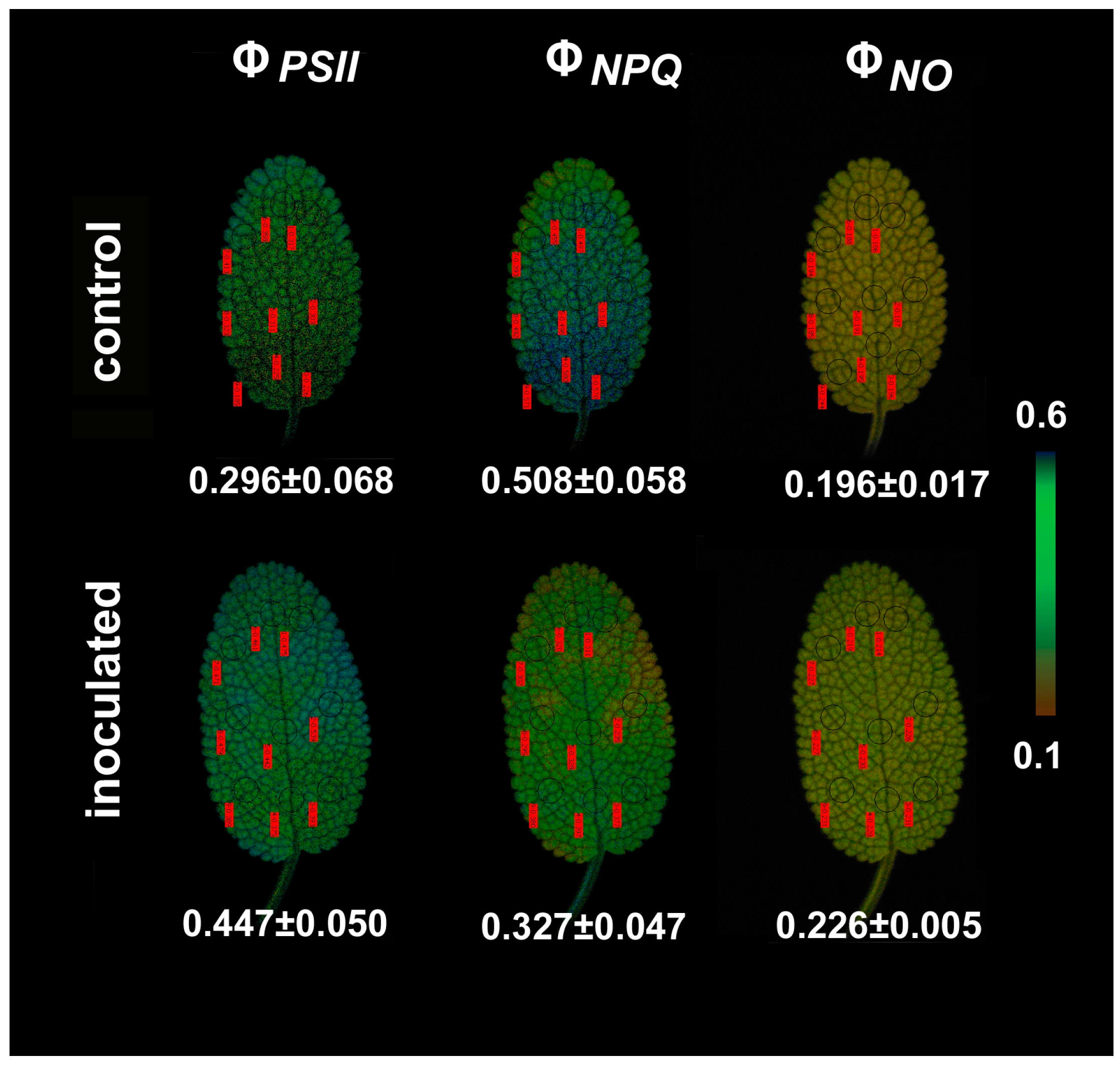 Plants 09 00962 g009